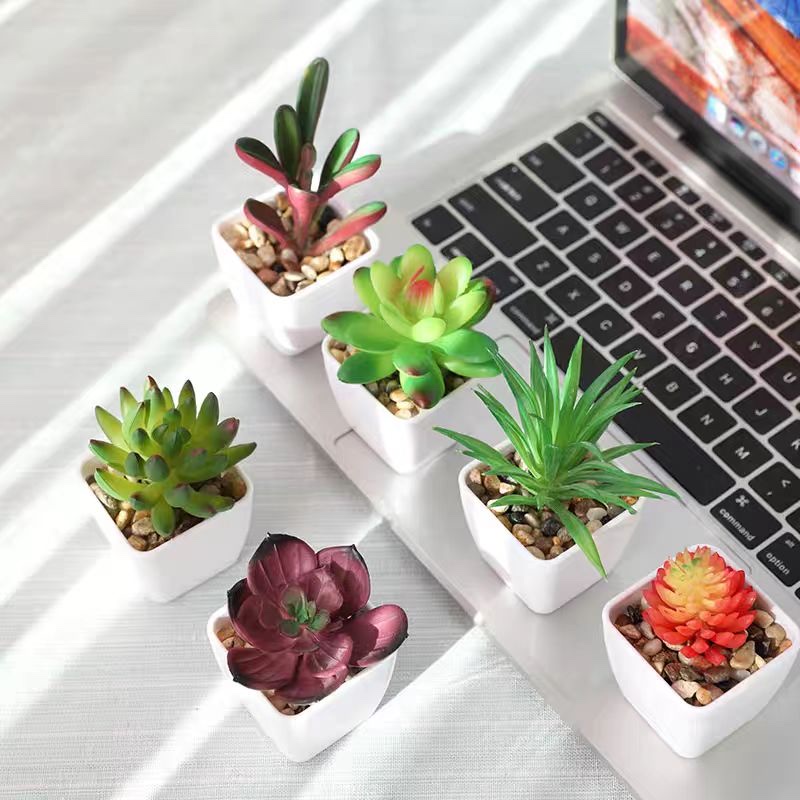 Succulent Plant Simulation Green Plant Meat Combination Pot Living Room Decoration Flower Desktop Mini Decorative Ware Pot details Picture