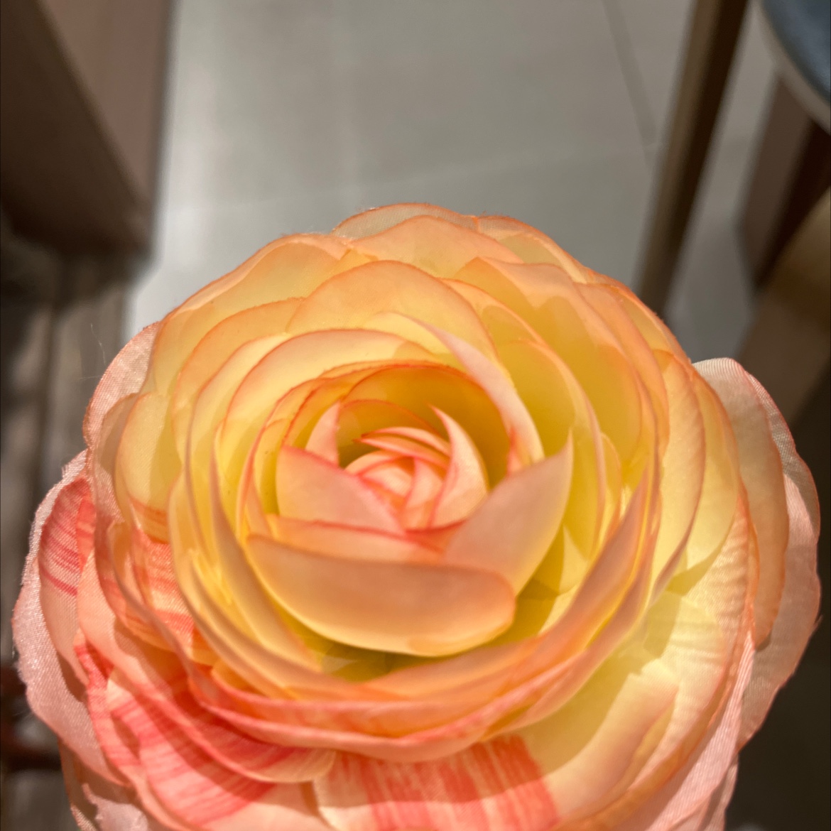 仿真花/多肉仿真花/教师节/牙套/永生花细节图