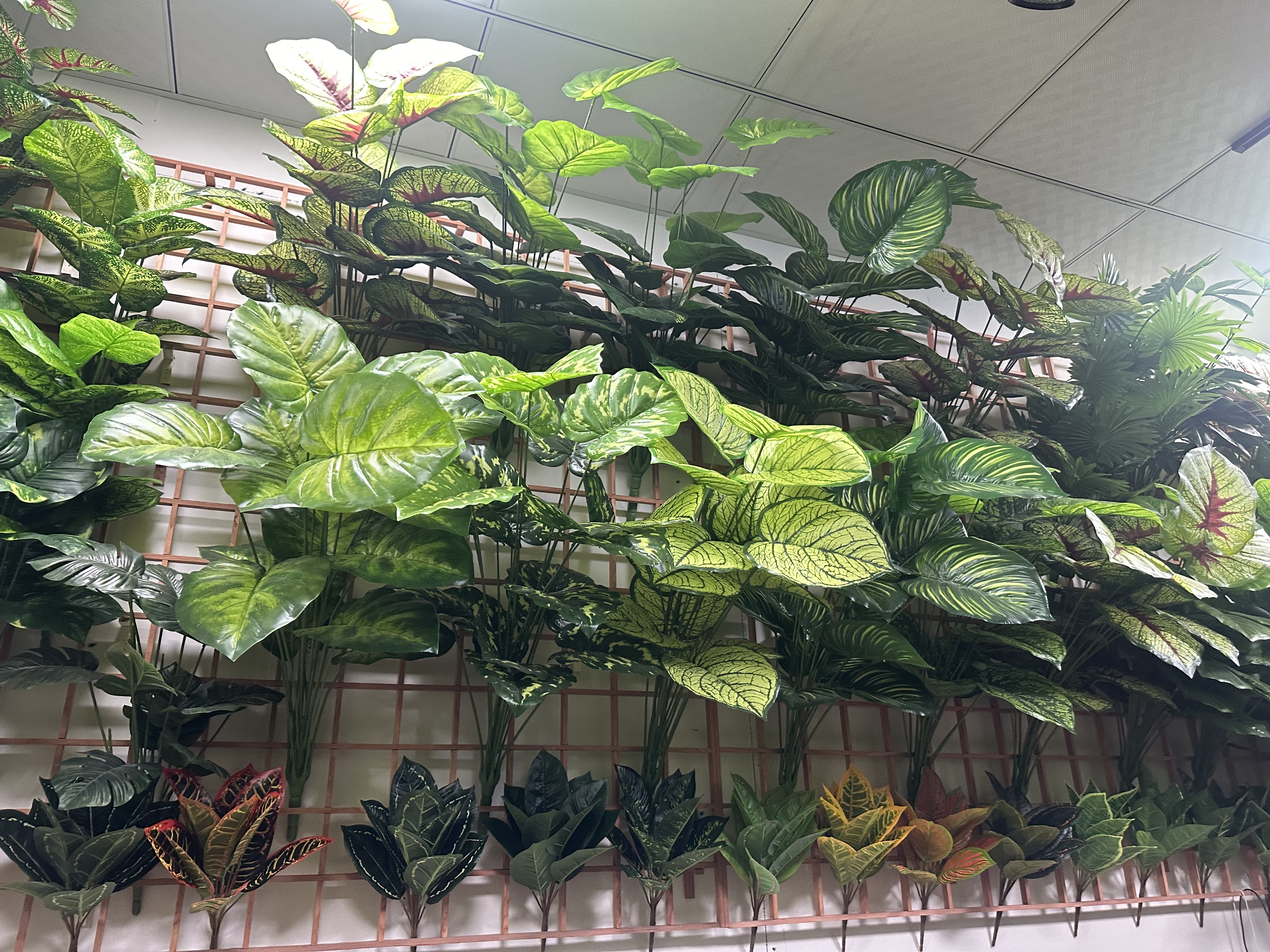 教师节特别礼物 多肉仿真花牙套 永生花设计 精致仿真花艺术品 不凋谢的浪漫永恒细节图