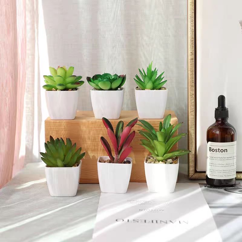 Succulent Plant Simulation Green Plant Meat Combination Pot Living Room Decoration Flower Desktop Mini Decorative Ware Pot