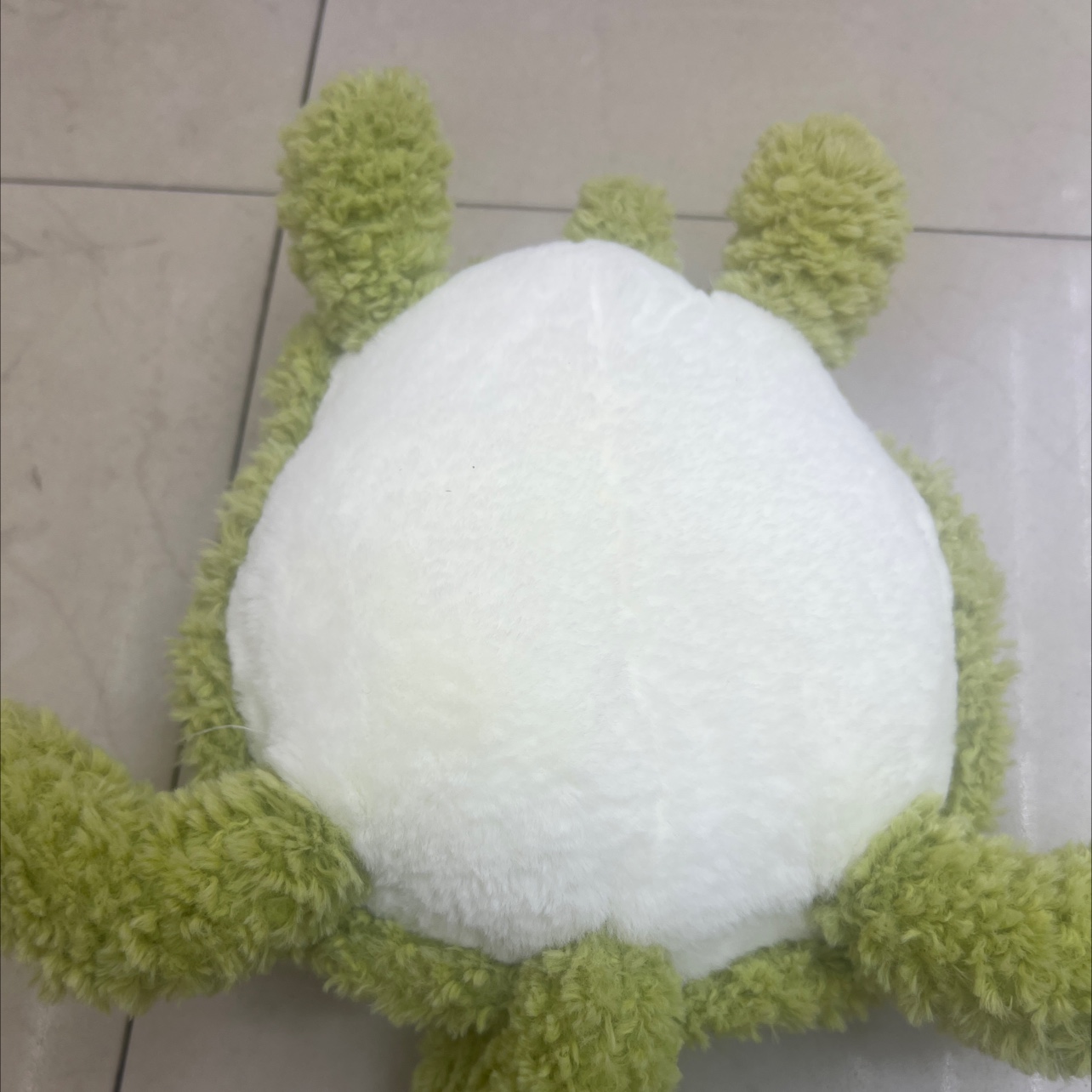 毛绒玩具实物图