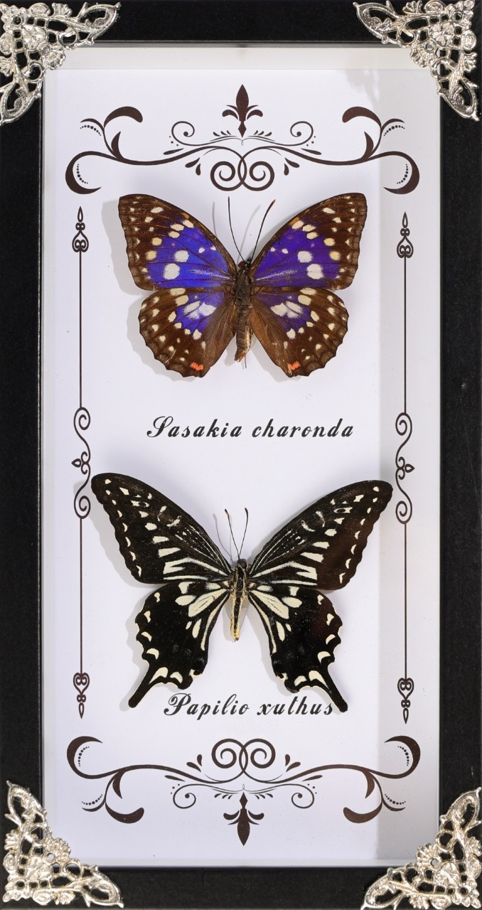 相框、画框实物图