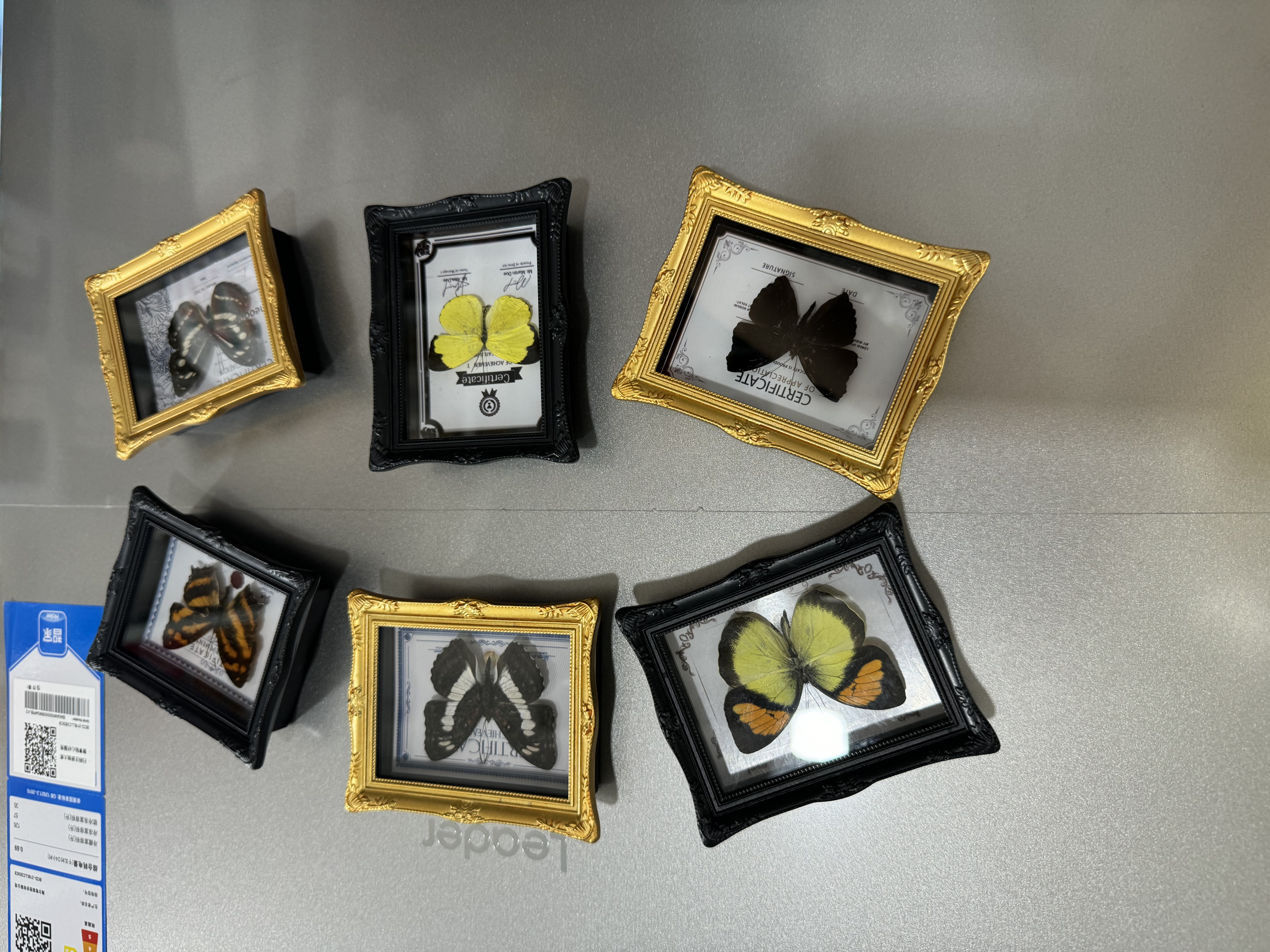 蝴蝶标本相框文创冰箱贴磁铁 省会特色冰箱贴装饰 独特创意冰箱贴饰品