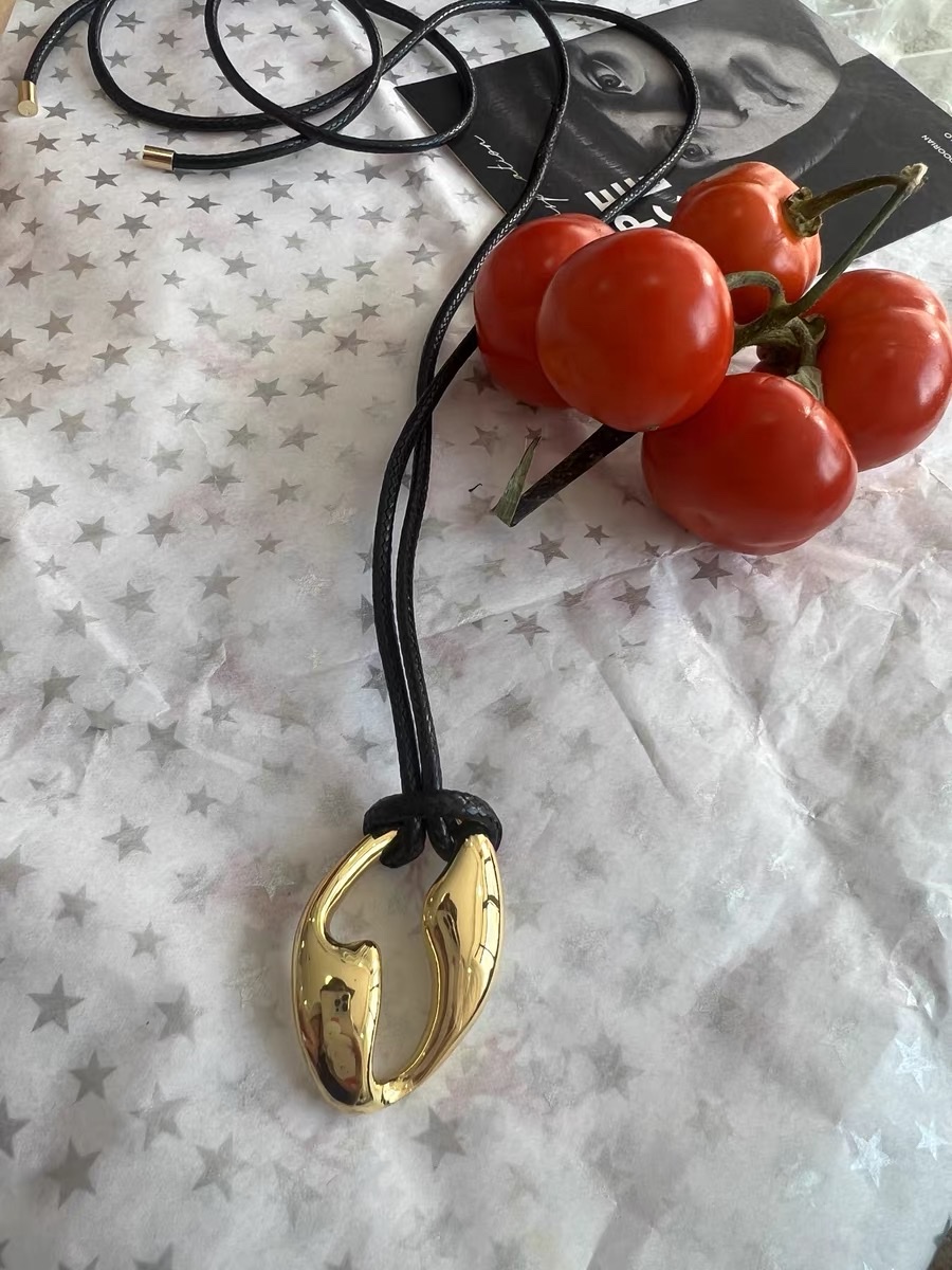 椭圆几何长款项链女2024新款爆款锁骨链轻奢高级感小众毛衣链颈链细节图