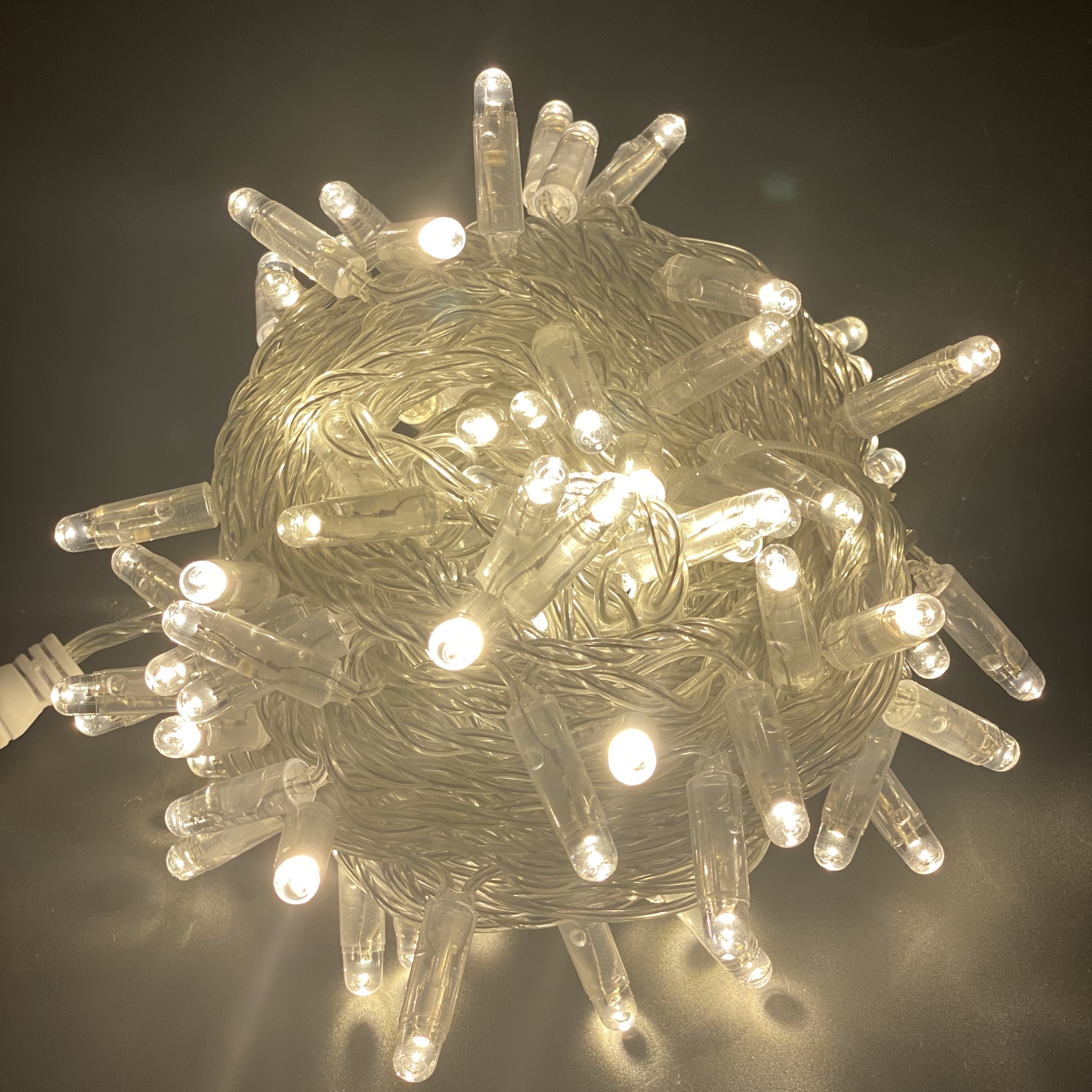 100 outdoor waterproof LED lights, 10M male and female plugs, Christmas tree supplies details Picture