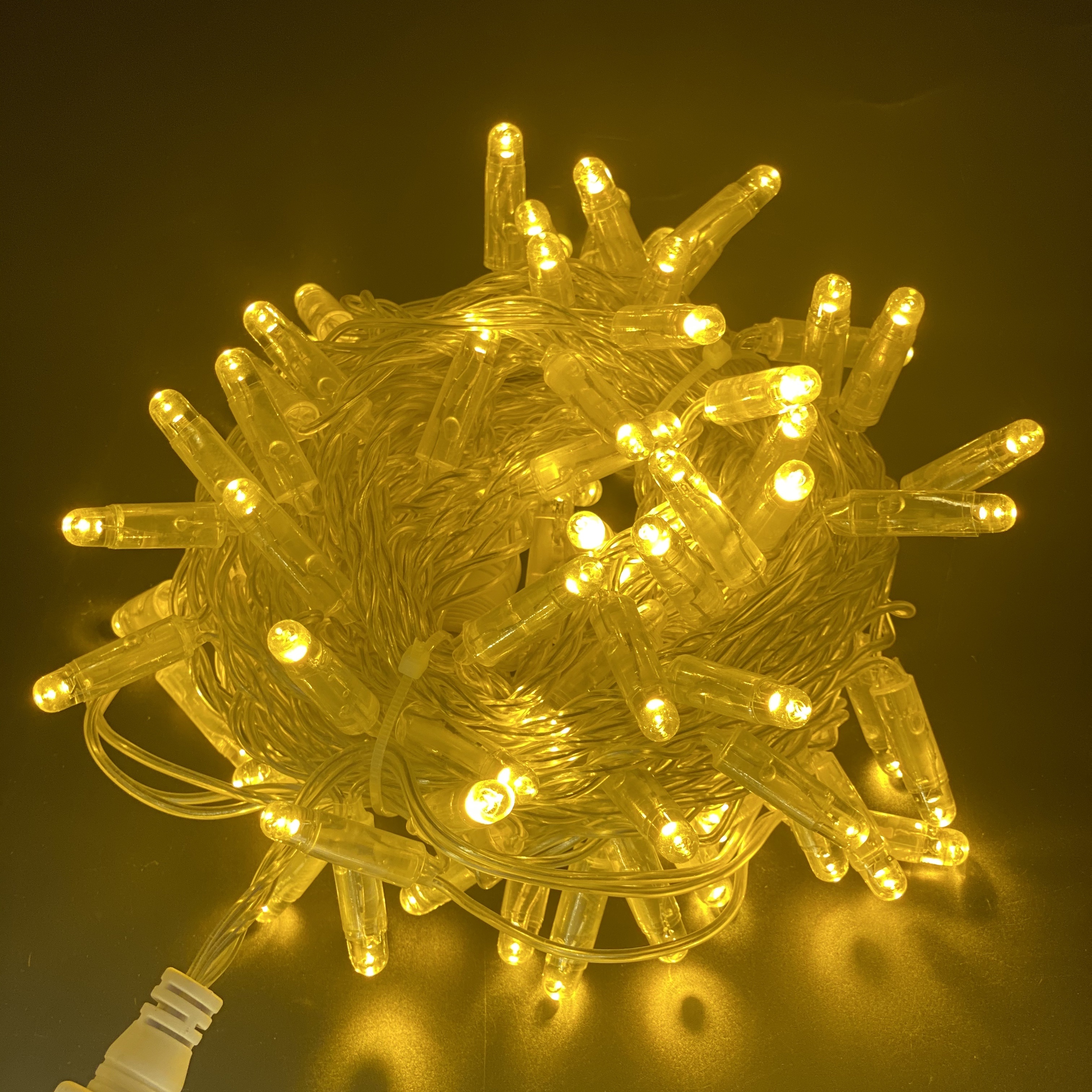 100 outdoor waterproof LED lights, 10M male and female plugs, Christmas tree supplies Item Picture