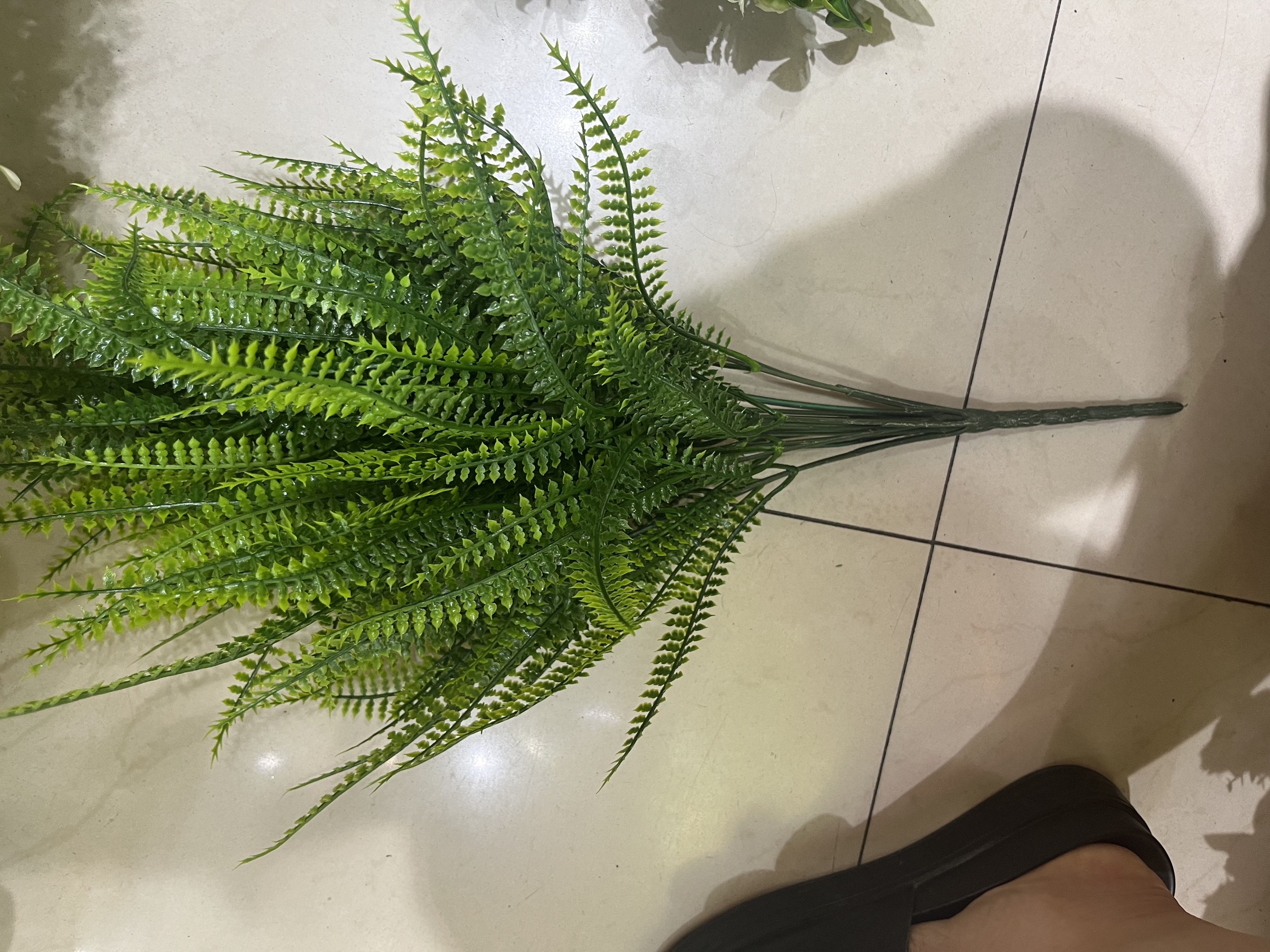 18头水草