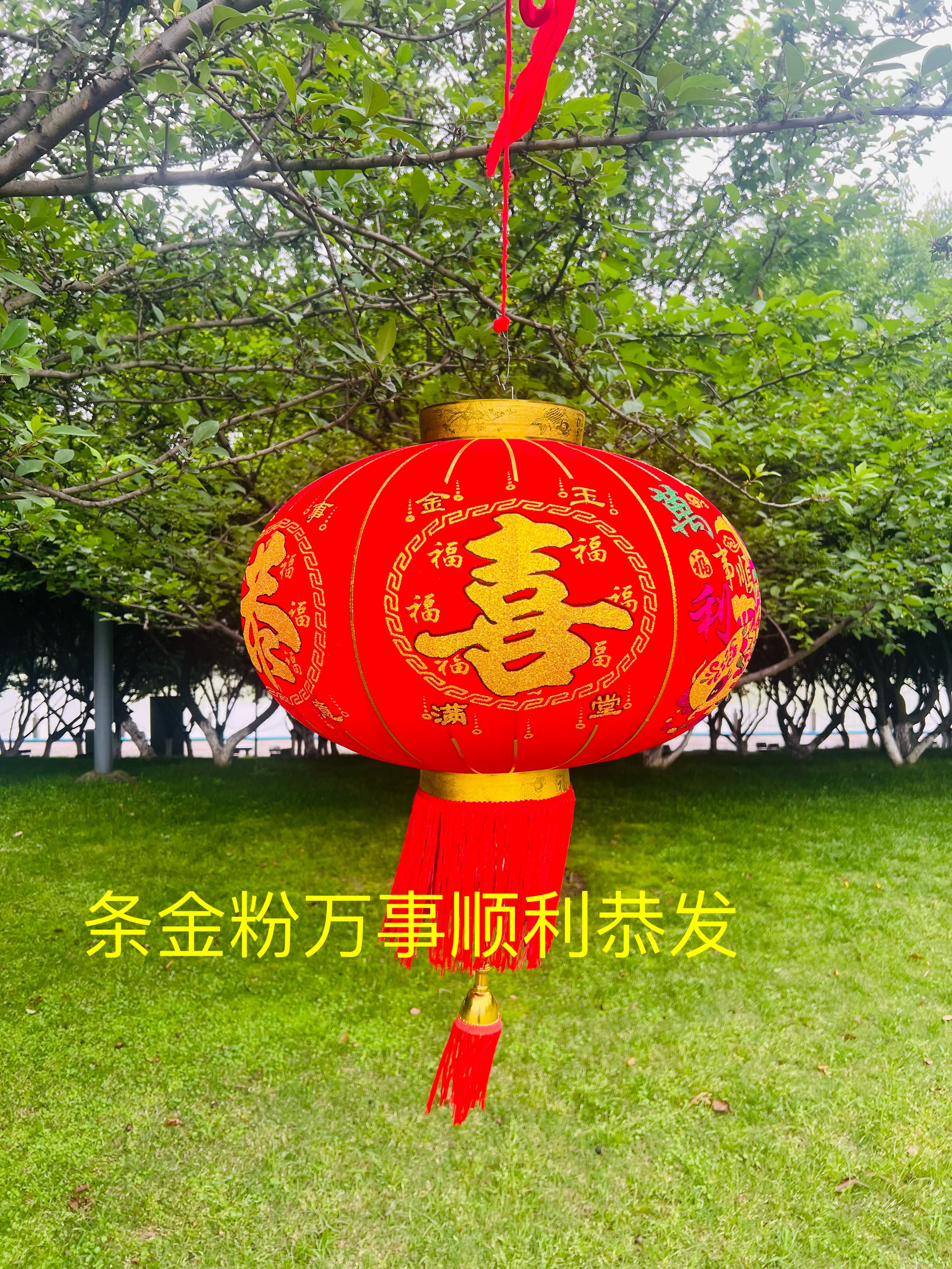 金粉万事顺利恭喜发财灯笼详情图4