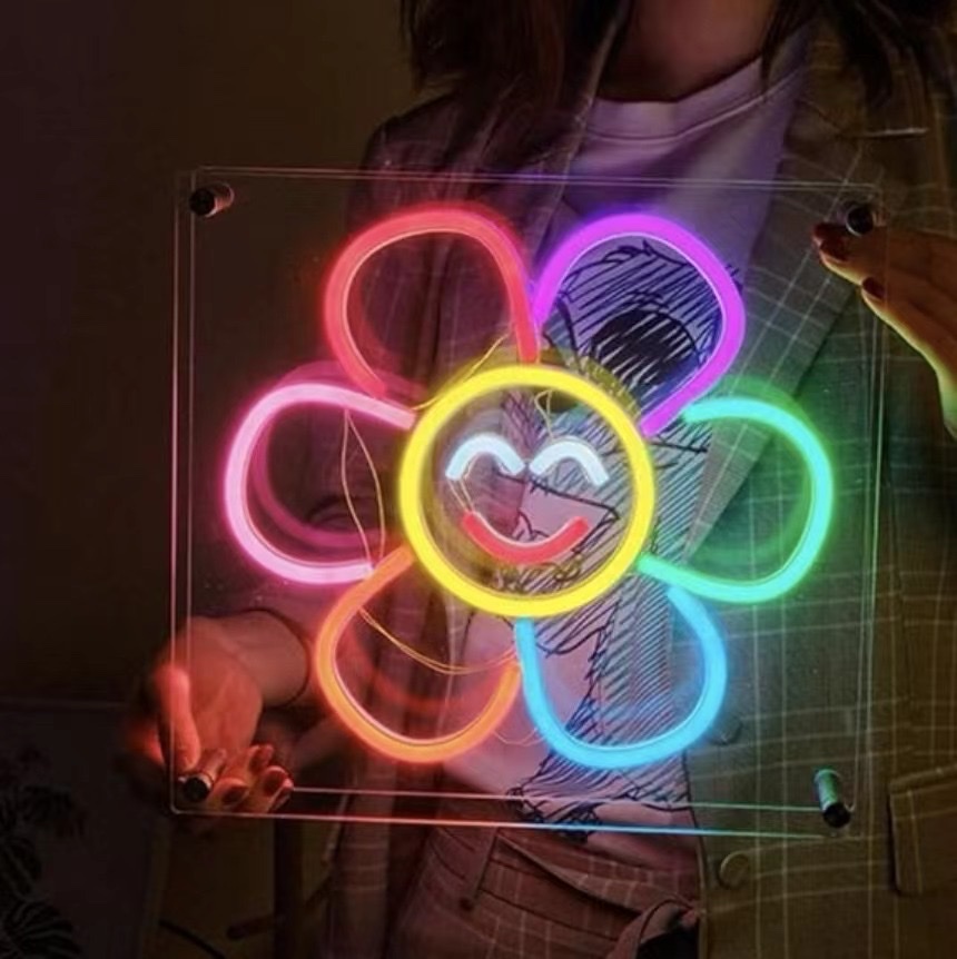 室内LED灯串实物图