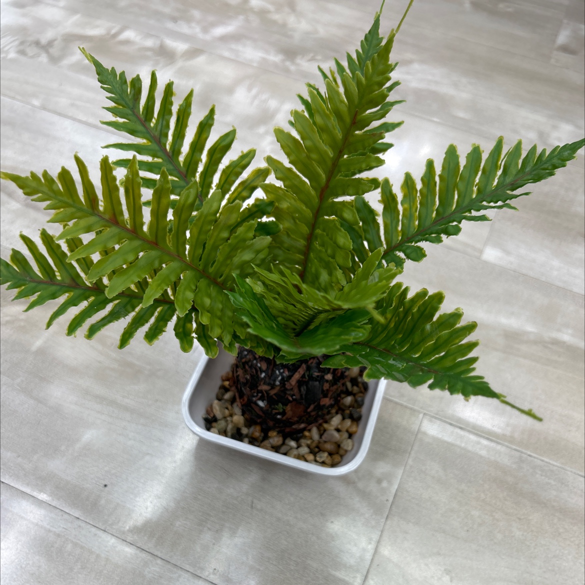 Creative accessories, artificial petals, Qingming flowers, Teachers' Day gifts, artificial flowers for decoration, funeral home special silk flowers, environmentally friendly, durable and beautiful