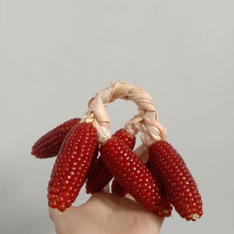 玉米文玩手把件迷你红色玛瑙玉米盘玩文玩手把件