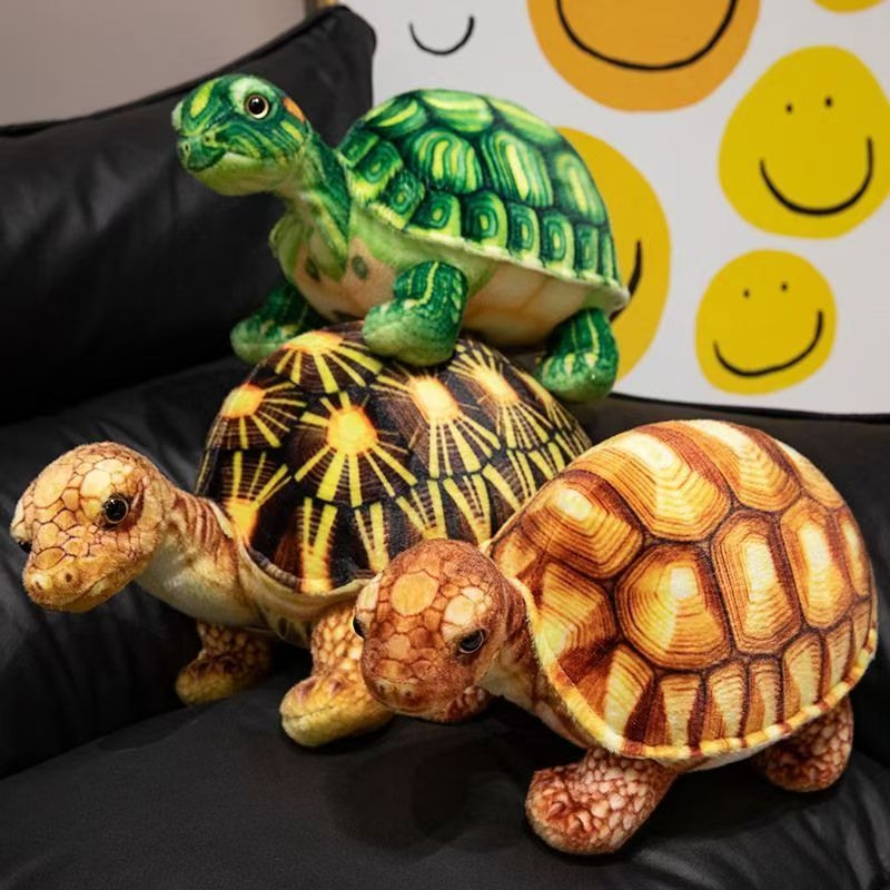 The new plush toy is a realistic Brazilian land turtle Application Scenario