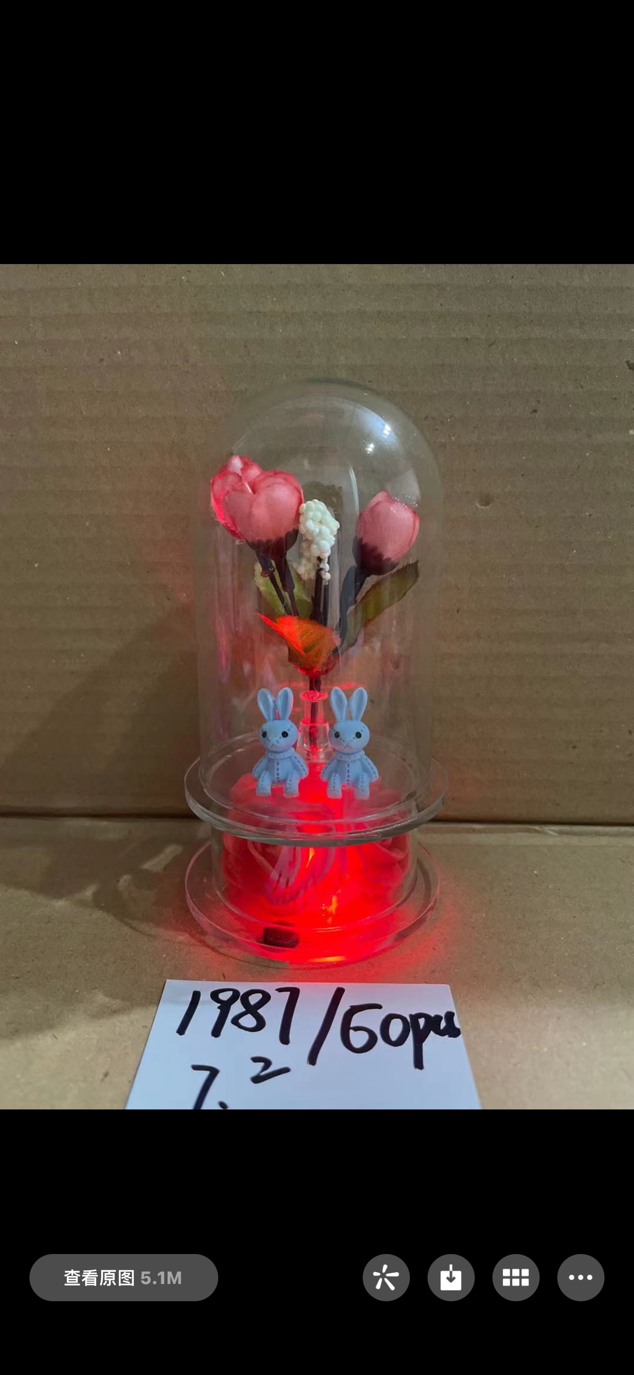 Пара на колесе обозрения с лампами Item Picture