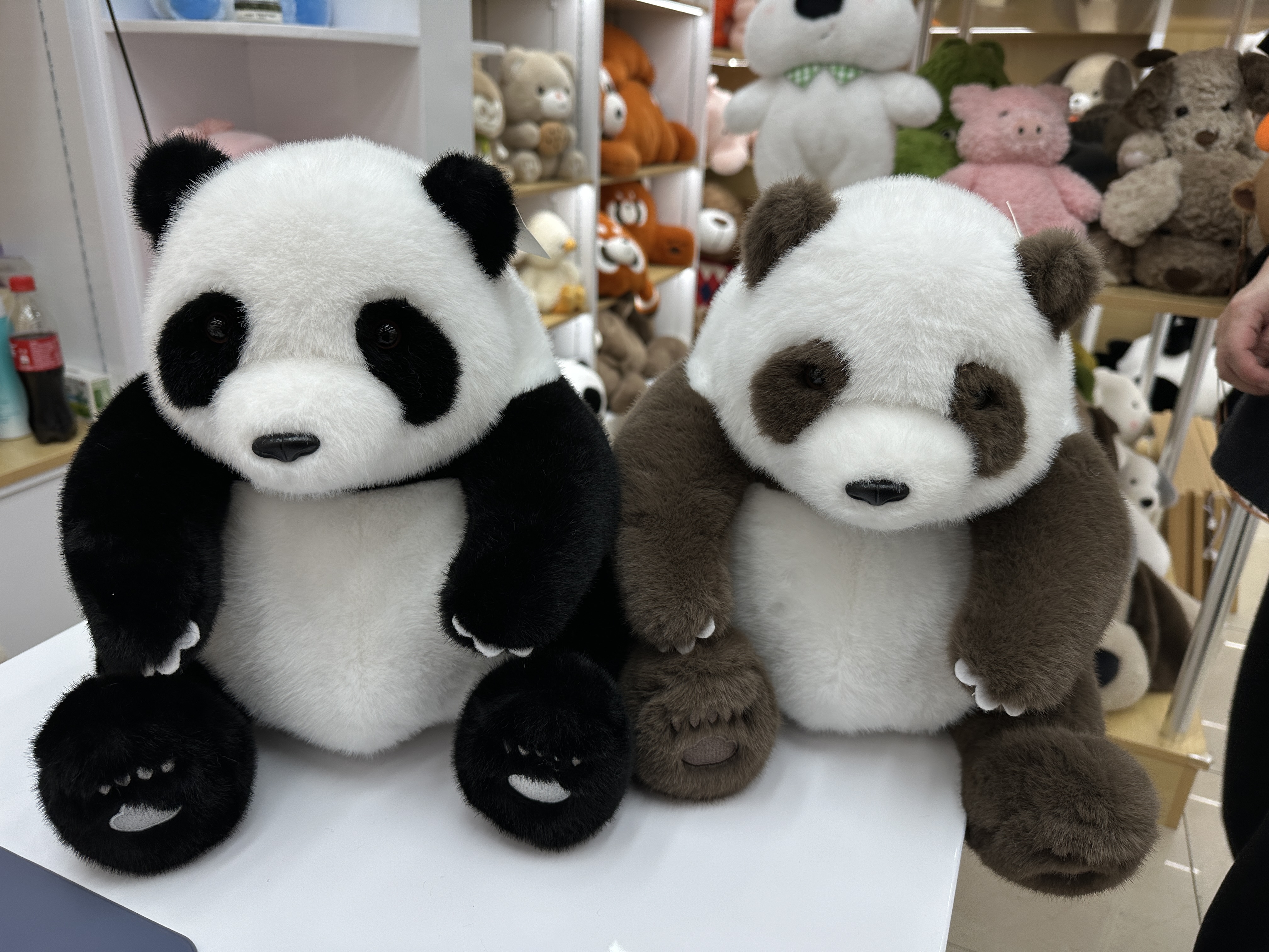 七仔大熊猫玩偶动物园同款可爱三角饭团毛绒公仔生日礼物仿真