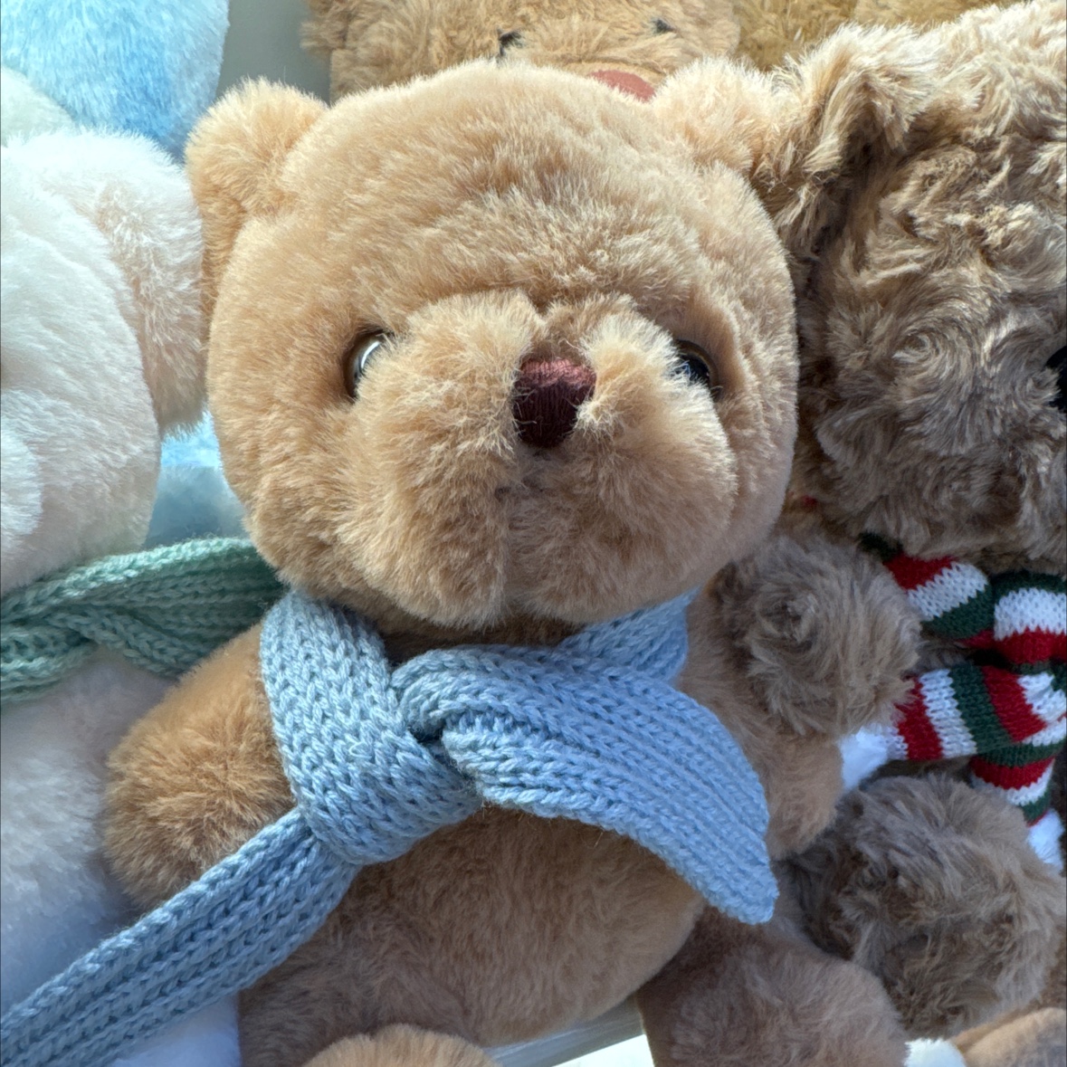 Scarf, bear, plush toy, doll, plush toy Specification image