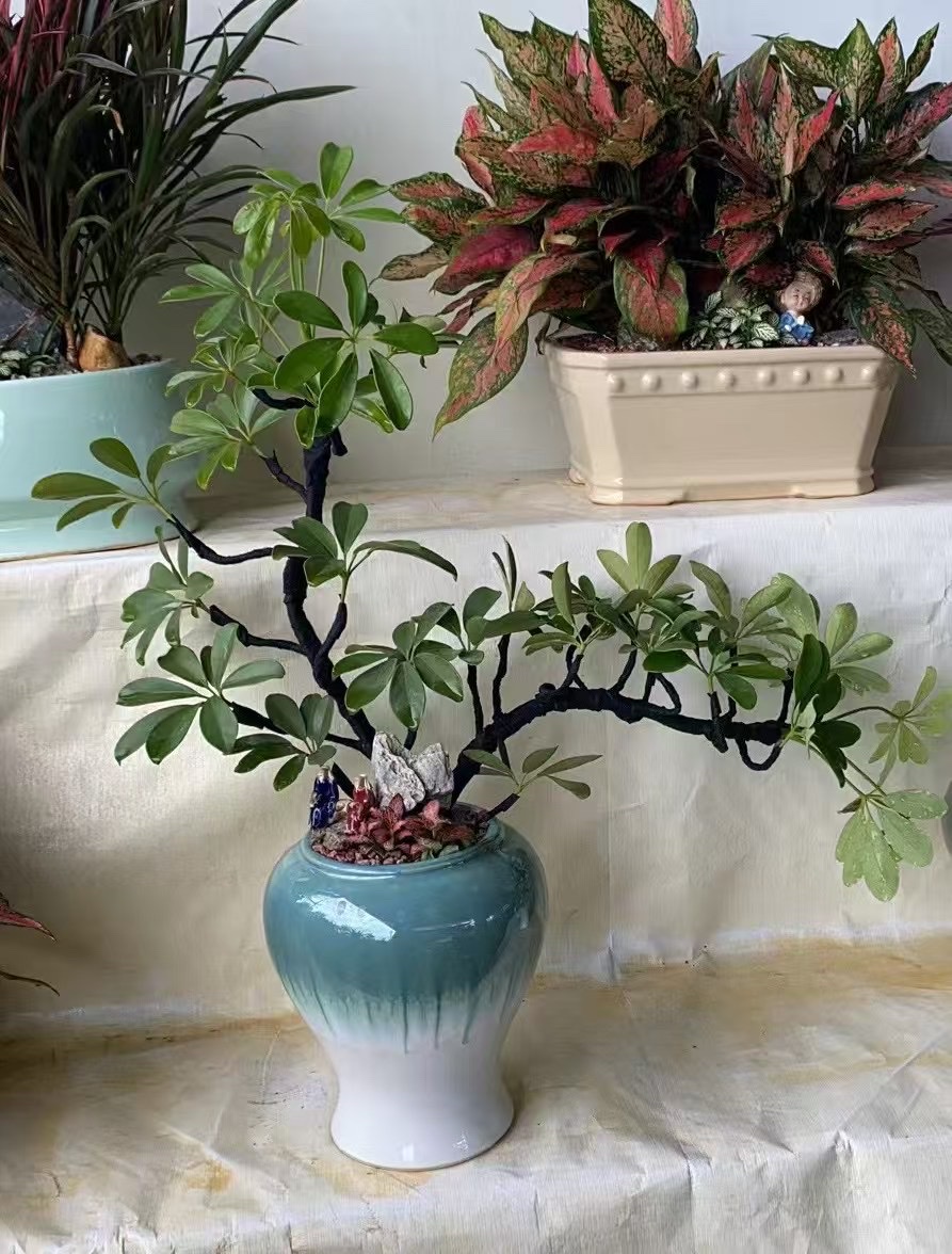 创意手工画风格1厘米迷你小眼镜 轻巧便携艺术品收藏装饰品手工创意画详情图7