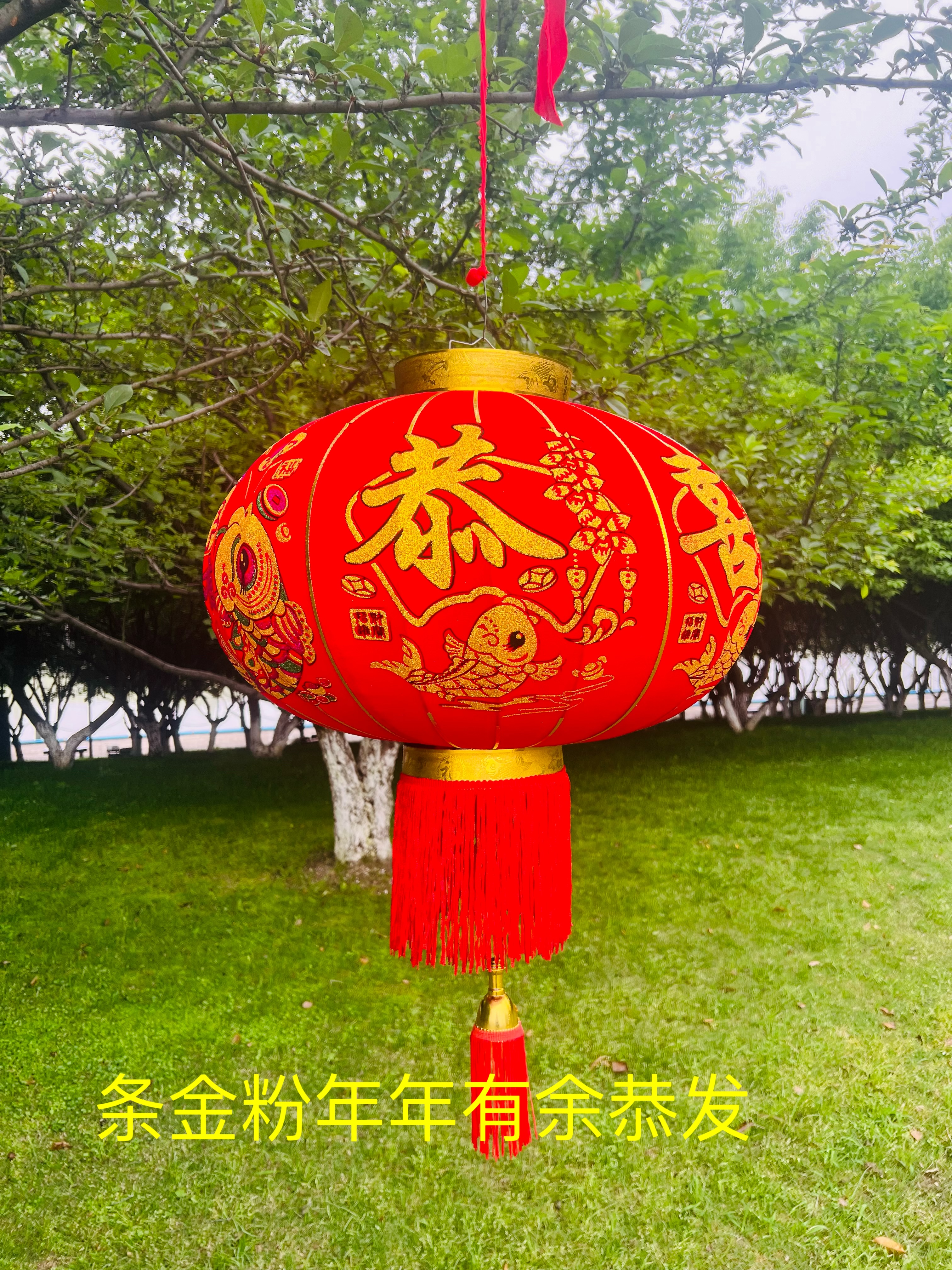 新年过年必备灯笼 美观大方喜庆氛围装饰品 环保材质安全耐用灯笼产品图