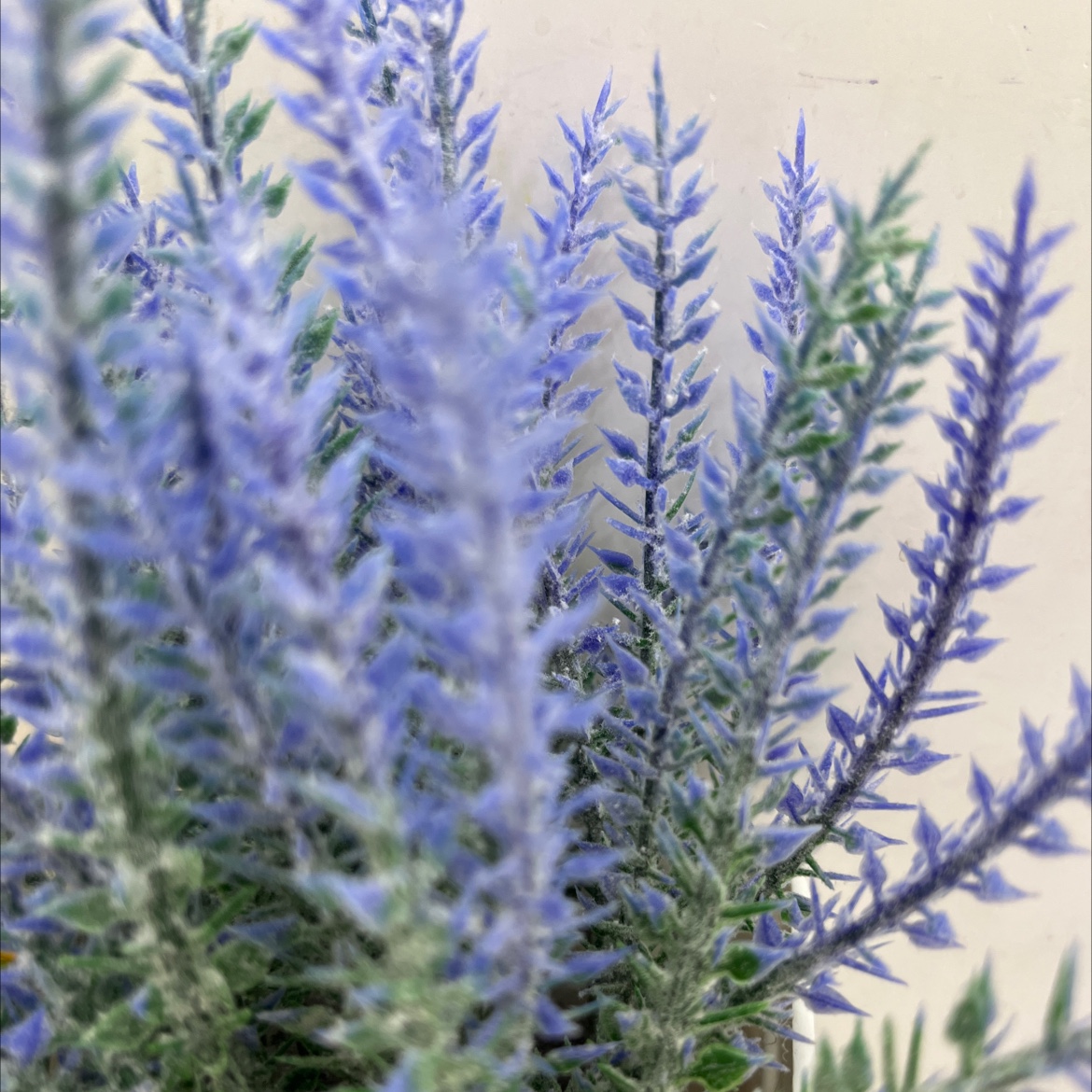 精致花篮配套假花 逼真仿真花装饰品 籐家具风格 色彩鲜艳室内装饰详情图3