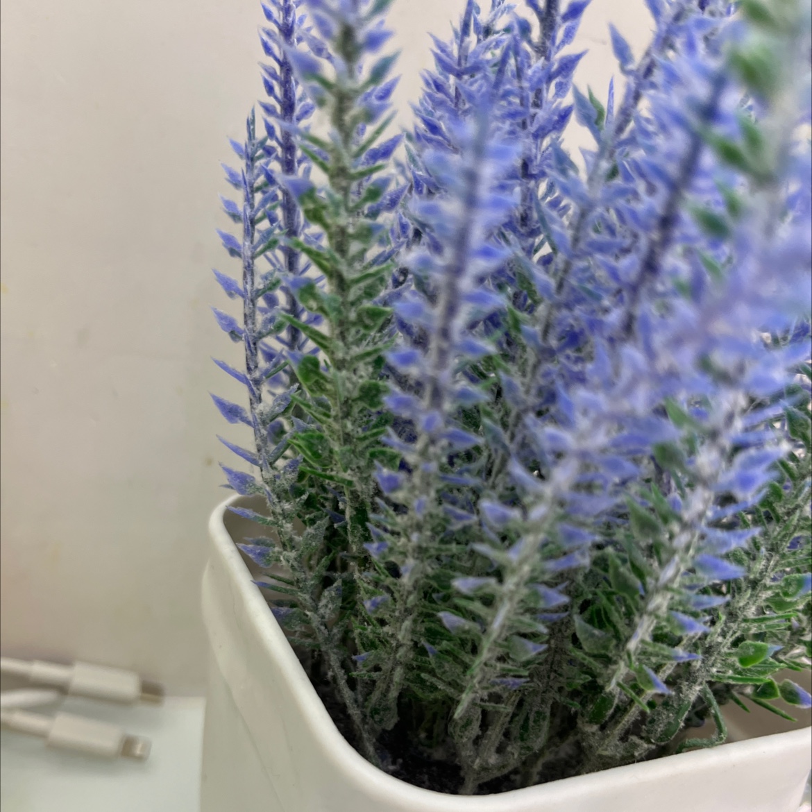 装饰花桶/花篮实物图