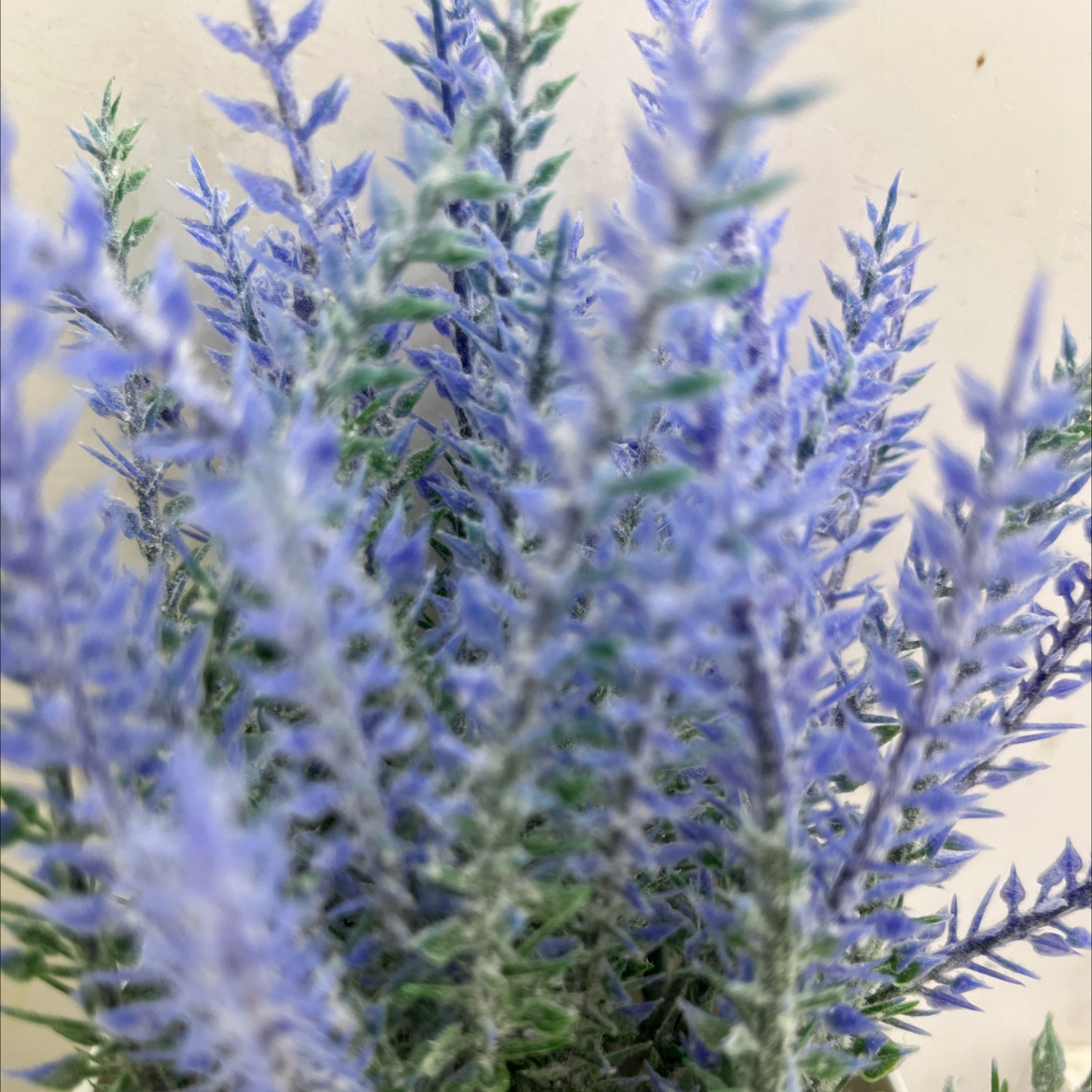 精致花篮配套假花 逼真仿真花装饰品 籐家具风格 色彩鲜艳室内装饰细节图