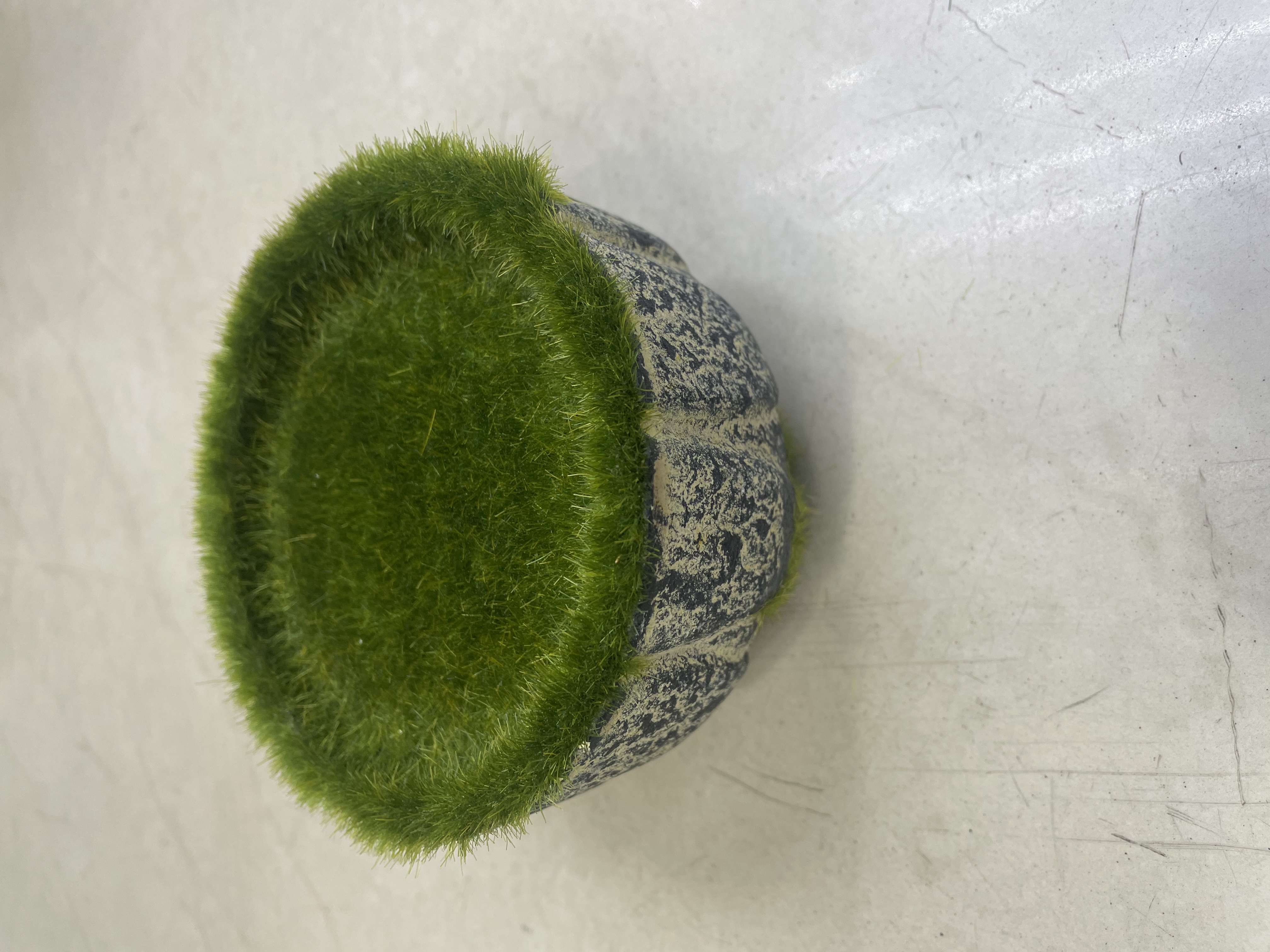 陶瓷花盆套装 自动浇花器搭配 小巧陶瓷小花瓶 适用于种植蔬菜种子 室内外花卉装饰