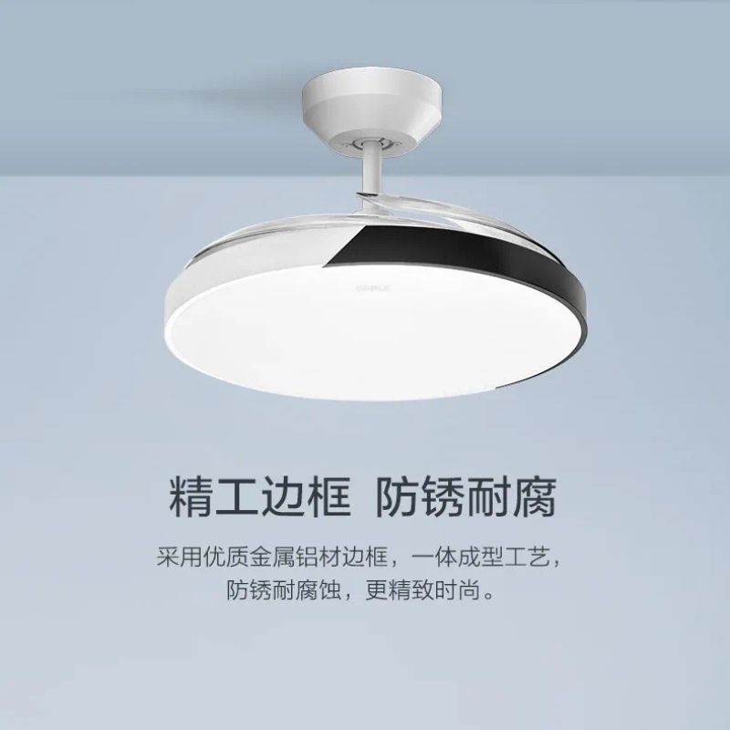 彩灯/吸顶灯新中式/卧室吸顶灯/奶油风灯具/满天星灯串细节图