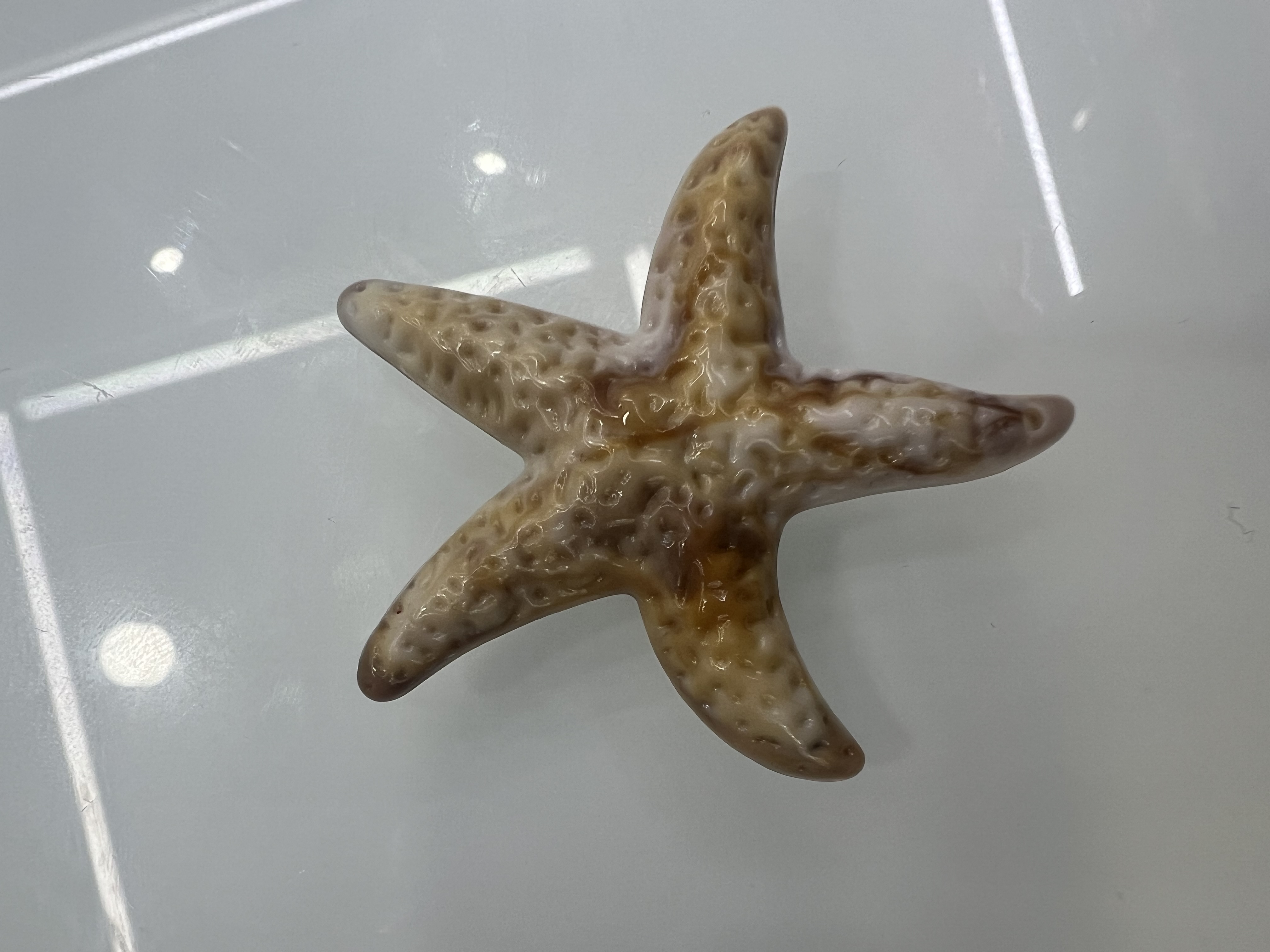 海星本品亚克力材质仿贝壳吊坠 窗帘汽车挂件钥匙扣电镀激光工艺 手链项链鞋花装饰挂件详情图7