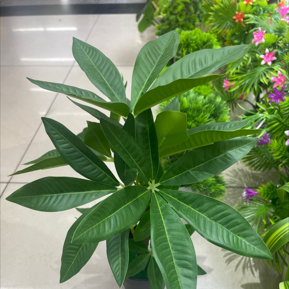 大型假绿植防真花工艺品 仙人掌仿真花假盆栽 室内装饰绿化不褪色持久新颖假盆栽假盆栽假盆栽假盆栽假绿植