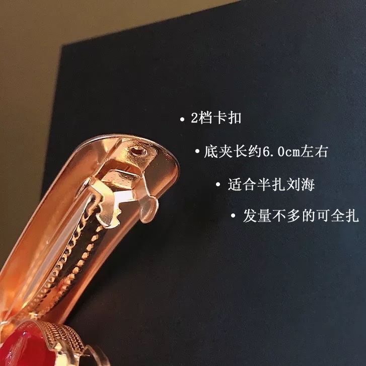 Korean-style simple spring clip, fashionable metal hair clip, half clip at the back of the head, top clip, horizontal clip, straight clip, hair clip detail image 2