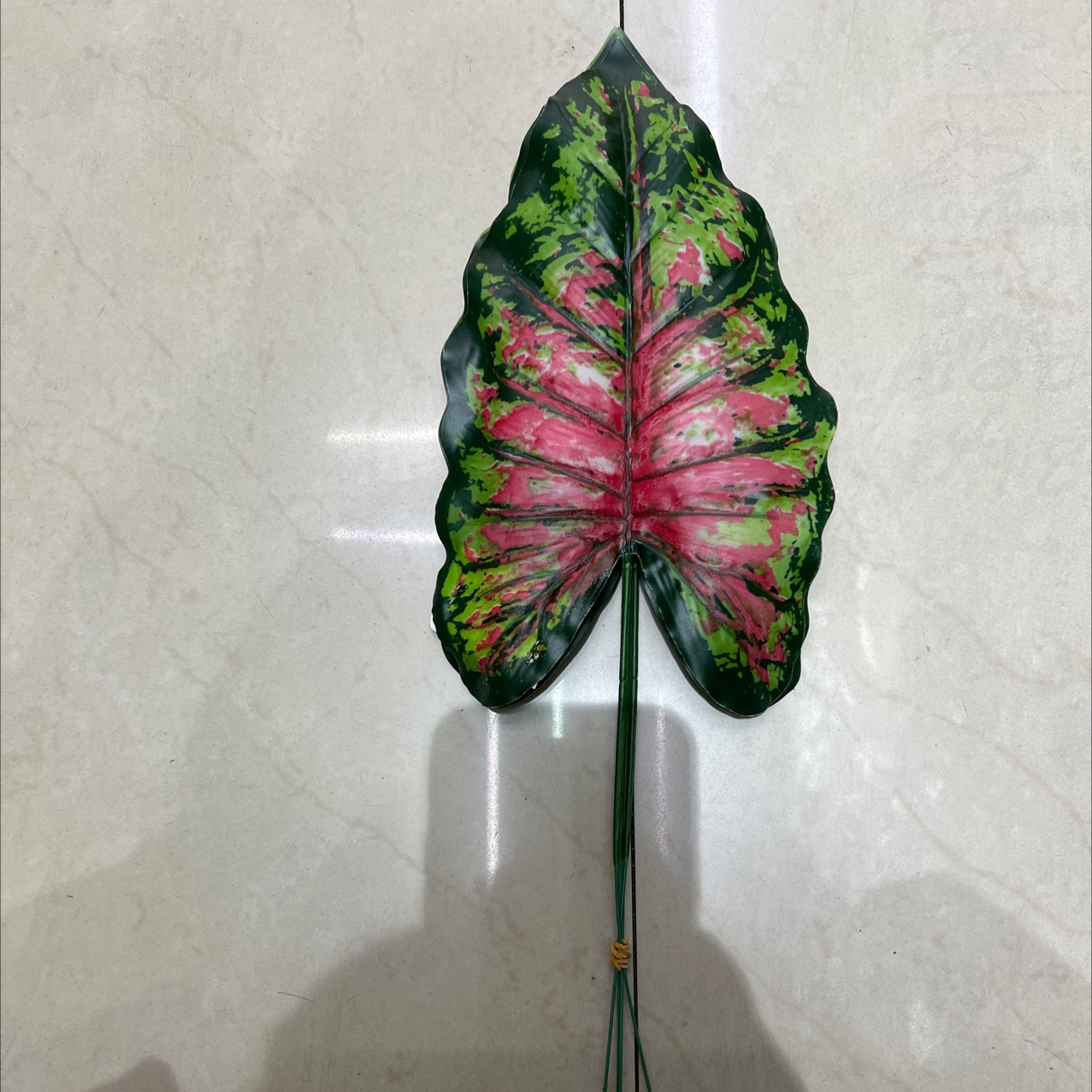 铁丝彩虹叶小号深色