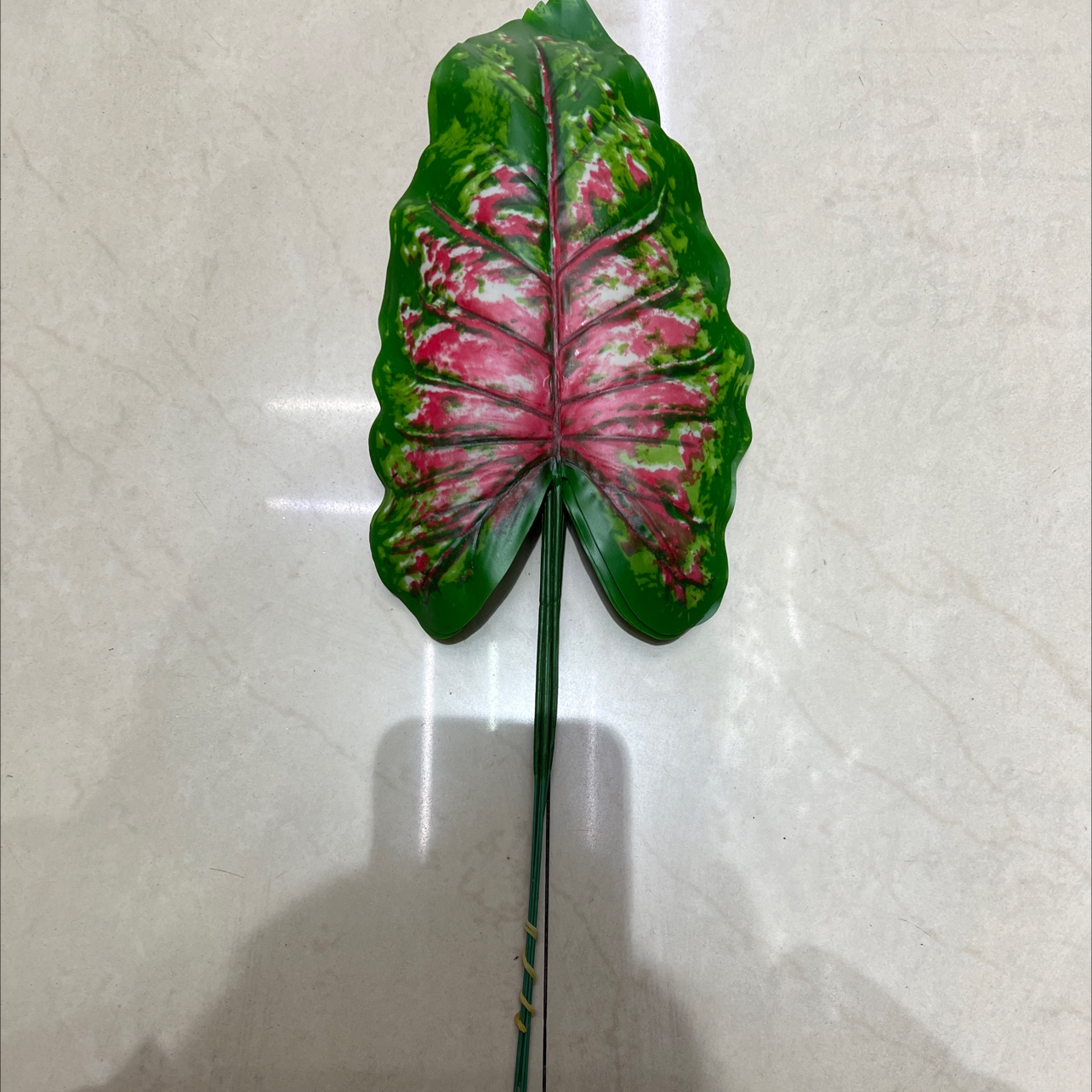 铁丝彩虹叶小号浅色