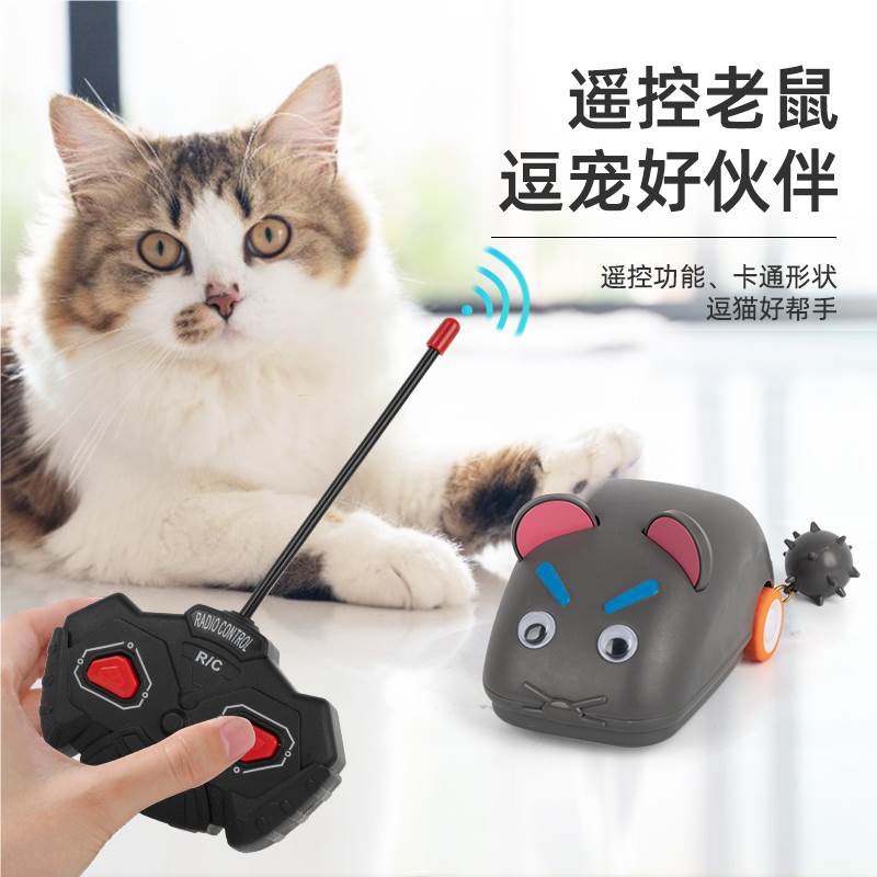 猫咪玩具卡通趣味电动小老鼠解压降压遥控老鼠
遥控车玩具车创意互动遥控车玩具详情图6