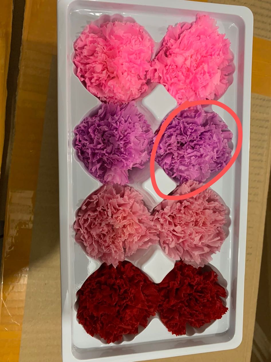 康乃馨 母亲节 礼品。干花永生花 装饰材料