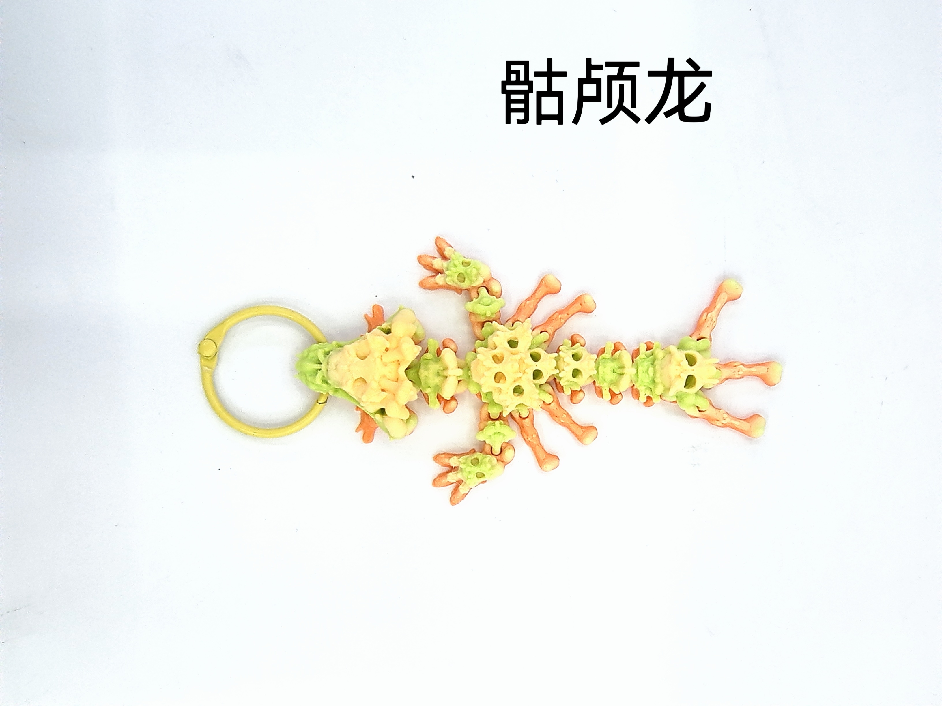 欣飞塑胶玩具，网红款3D打印玩具，立体恐龙玩具详情图11