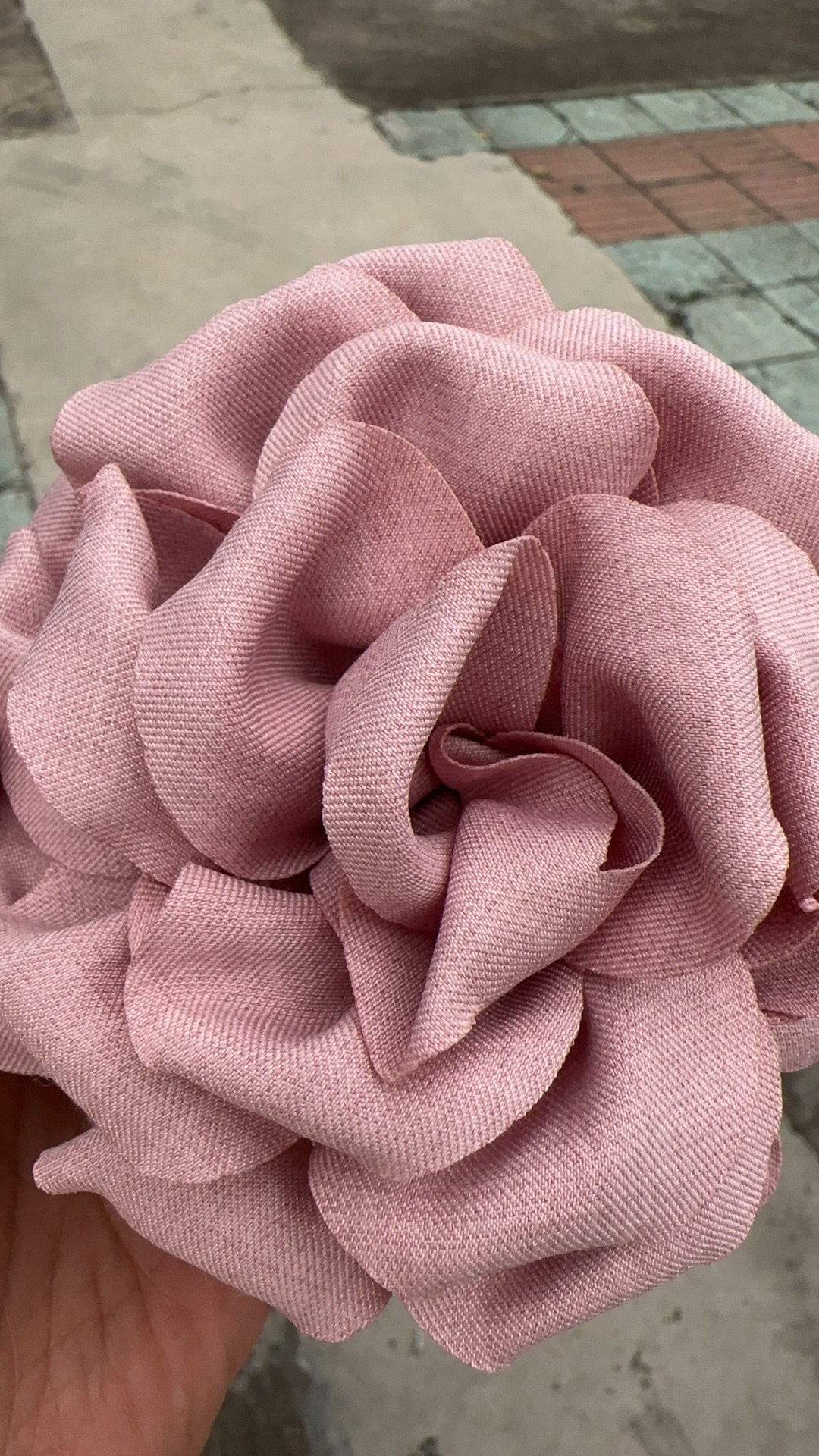 蝴蝶结设计发夹 抓夹 头饰 发饰 简约时尚女士发饰配件 美发装饰品