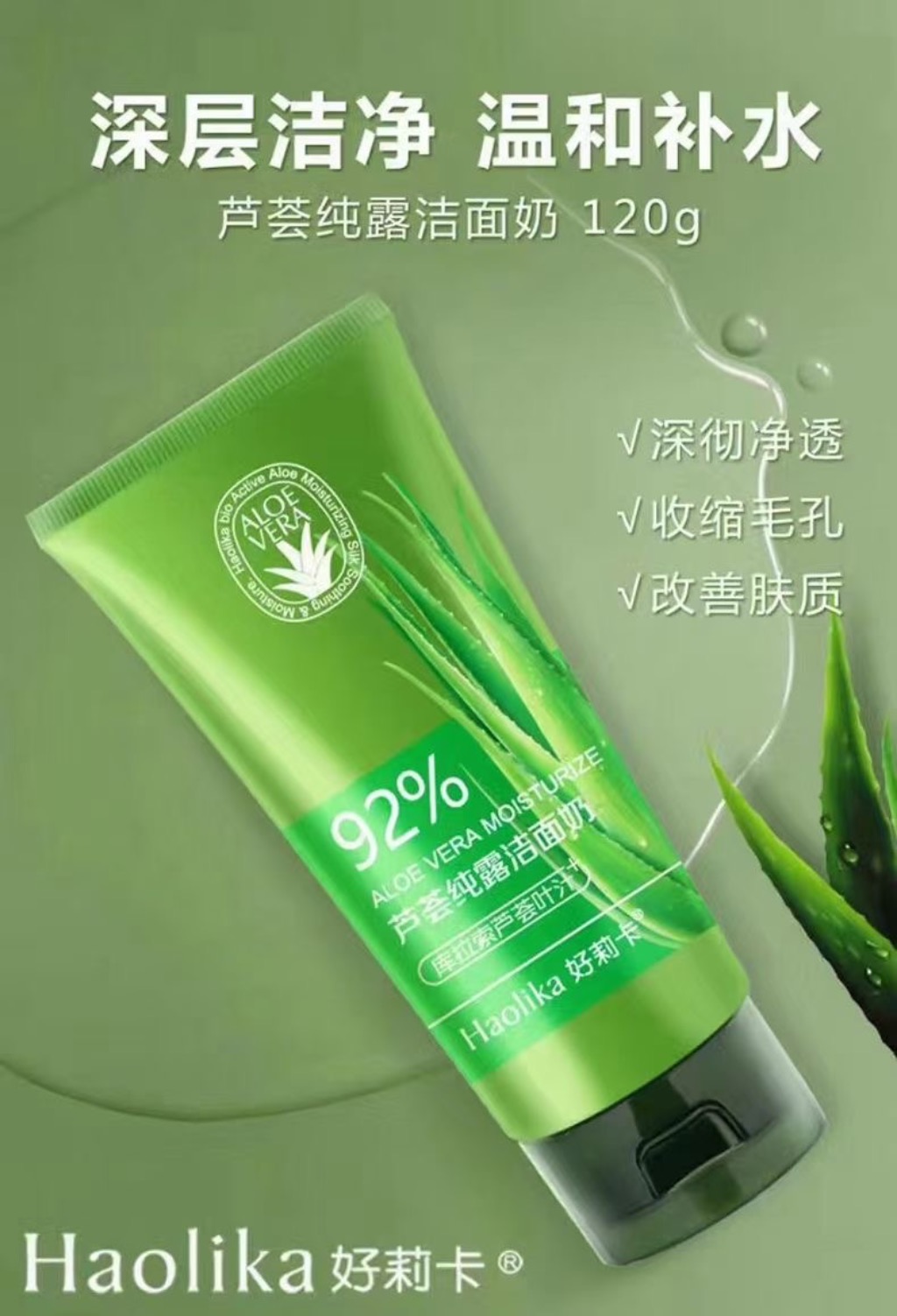 Holica 120g Aloe Vera Hydrosol Facial Cleanser HLK1717 details Picture