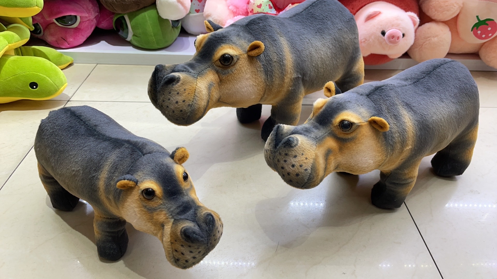 毛绒玩具/公仔/毛绒公仔学生短款卡通/猪小屁/布偶细节图