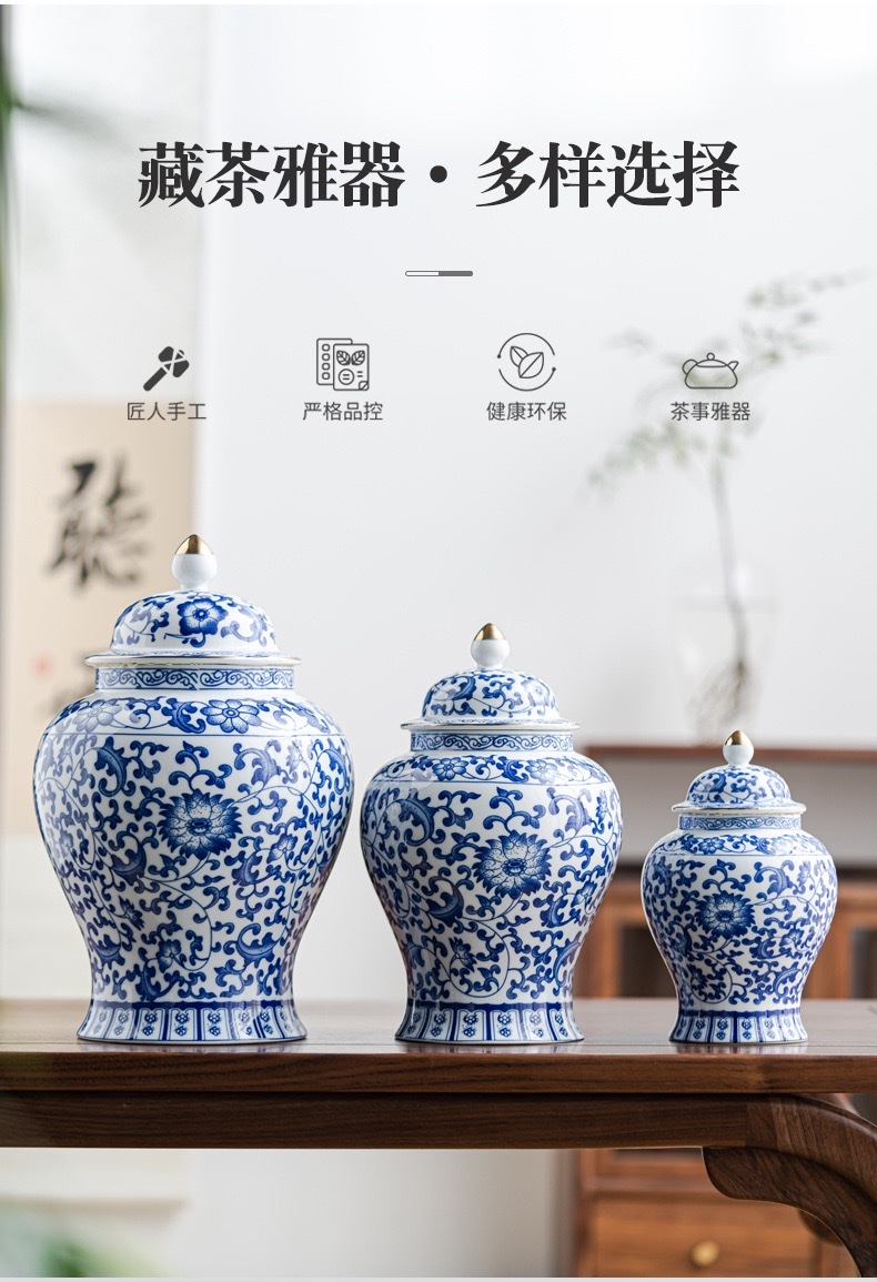 Exquisite artistic ceramic tea canister, home decoration, creative porcelain handicrafts, living room and study decoration and arrangement Application Scenario