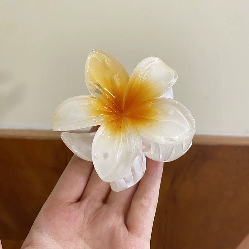 鸡蛋花抓夹女新款高级感发饰夹子头饰发夹大号后脑勺鲨鱼夹抓夹白底实物图