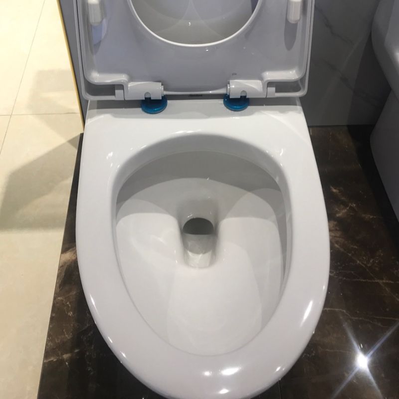 马桶/坐便器/马桶坐便器/幼儿马桶细节图