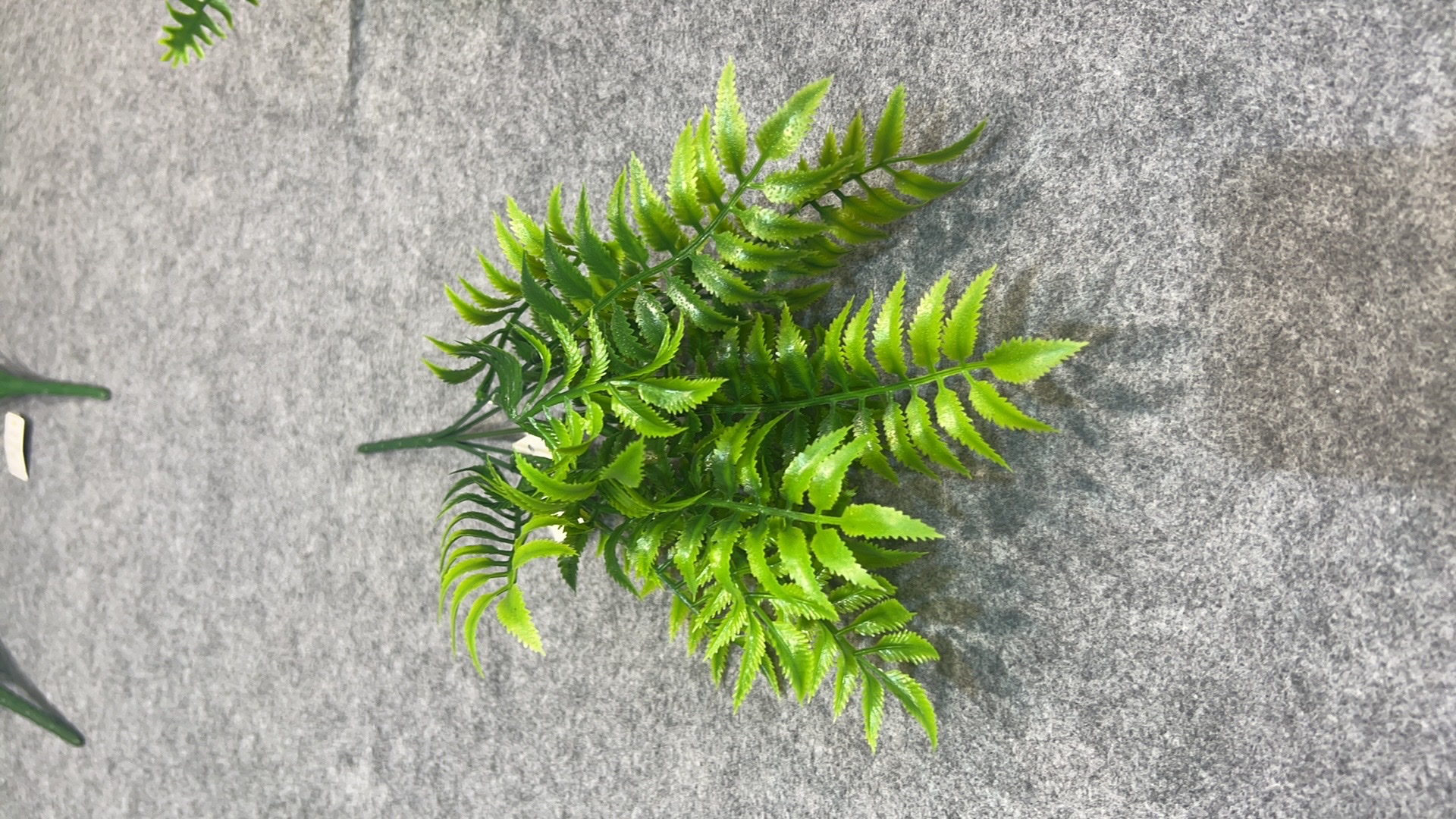 Artificial flower wedding forest-themed green leaves, green grass and green plants for outdoor lawn decoration, direct sales and wholesale of hotel and home decoration greening Specification image