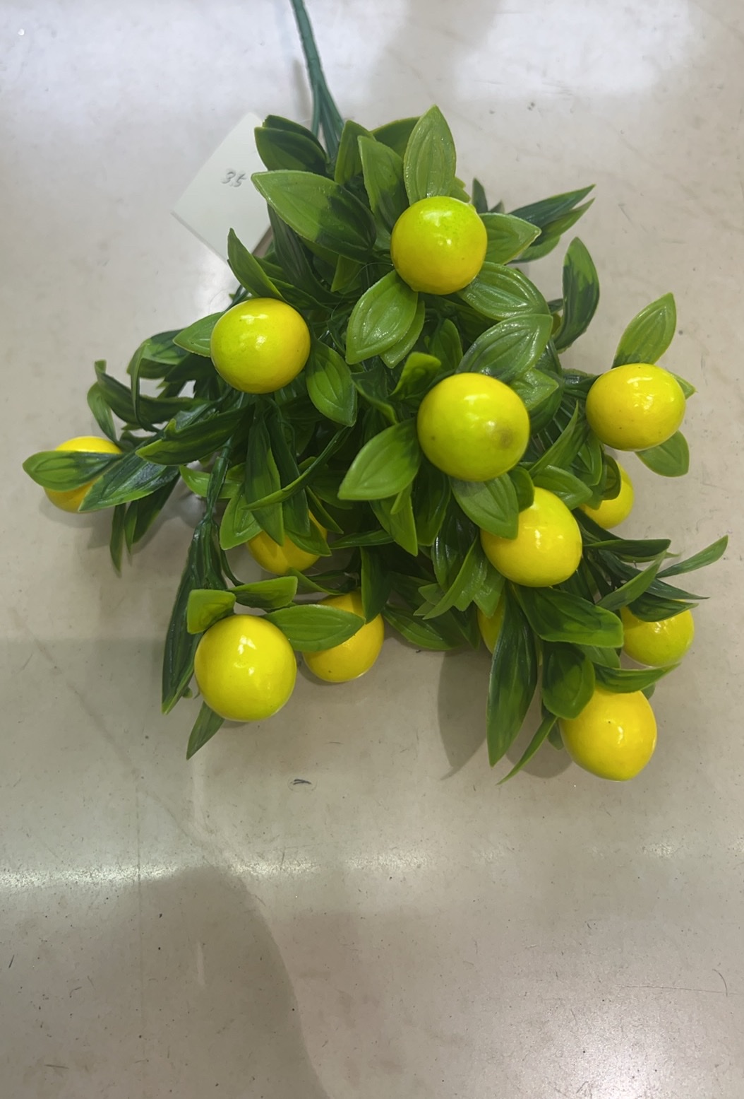 仿真植物实物图