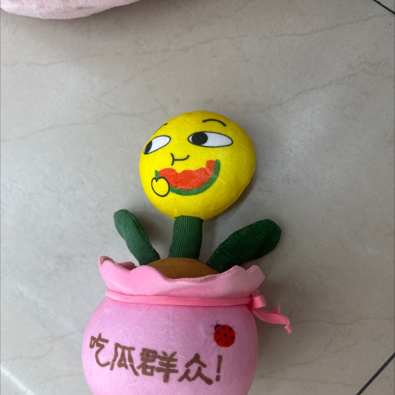 Kapibala plush toy dolls, children's dolls, soft cushions, safe and environmentally friendly materials, soft and cute design dolls details Picture