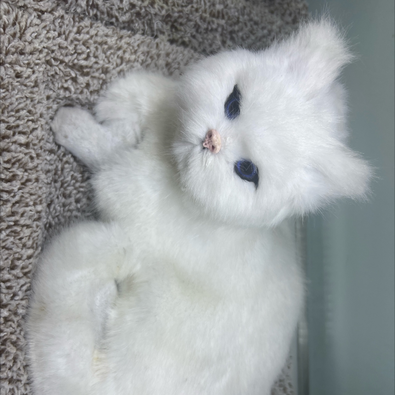 动物猫仿真猫咪树脂玩具摆件 竹炭狗汽车用品 车内装饰品汽车仿真猫 清新空气除味汽车仿真猫仿真猫咪竹炭狗汽车用品仿真猫咪产品图