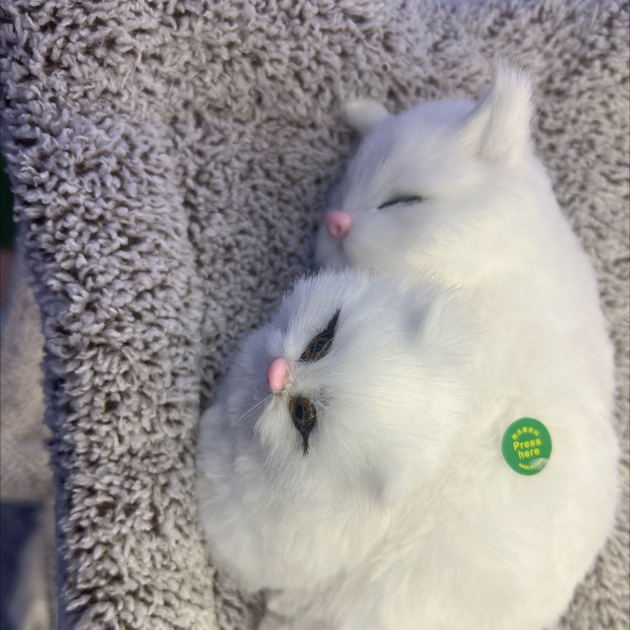动物猫仿真猫咪树脂玩具摆件 竹炭狗汽车用品 车载装饰品 汽车仿真猫摆设汽车仿真猫树脂玩具摆件仿真猫咪动物猫仿真猫竹炭狗汽