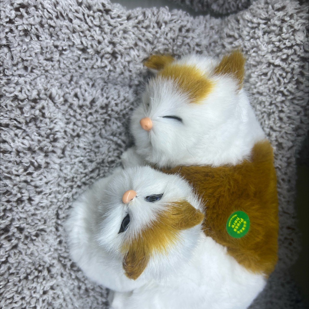 仿真动物实物图