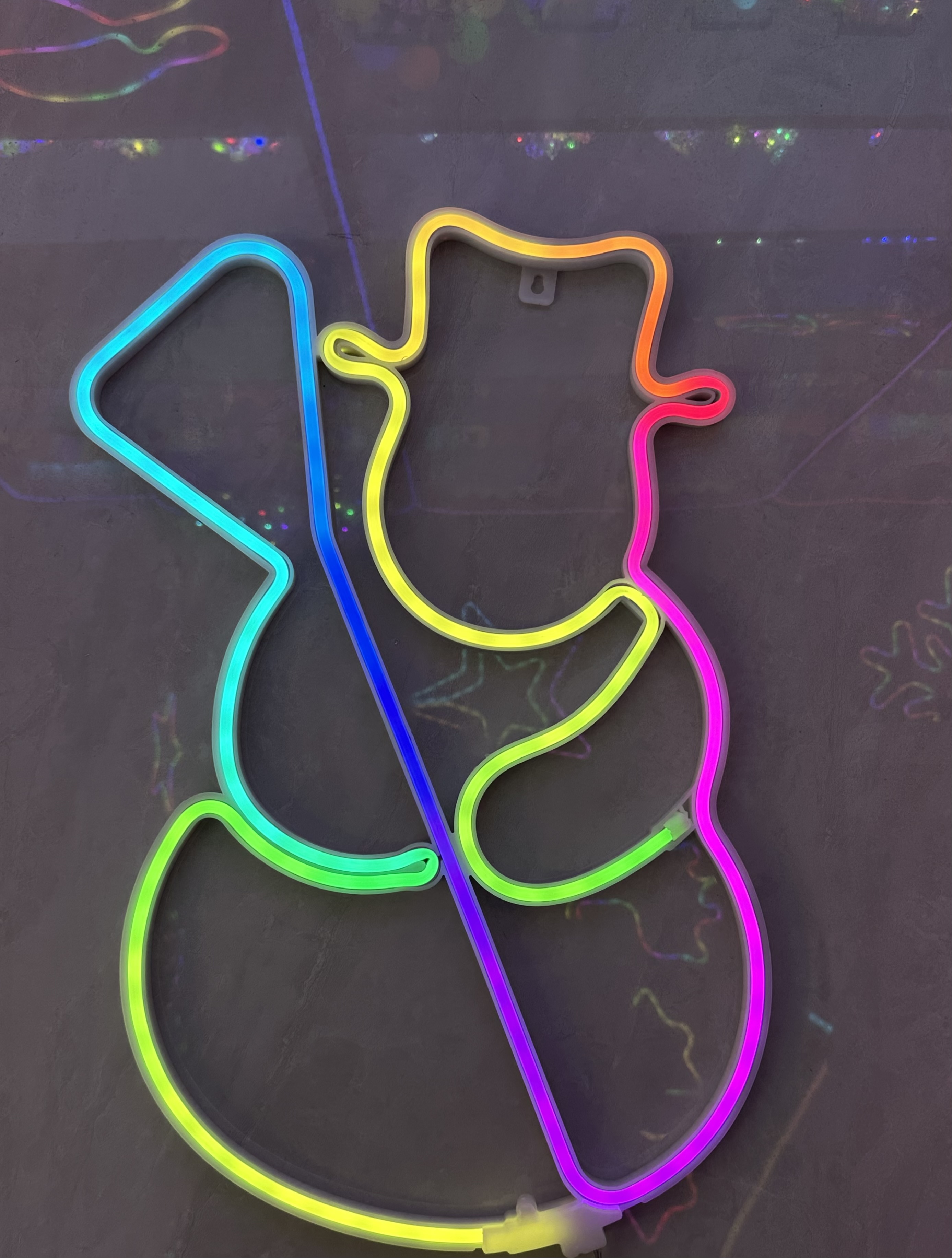 幻彩柔性造型灯详情图3