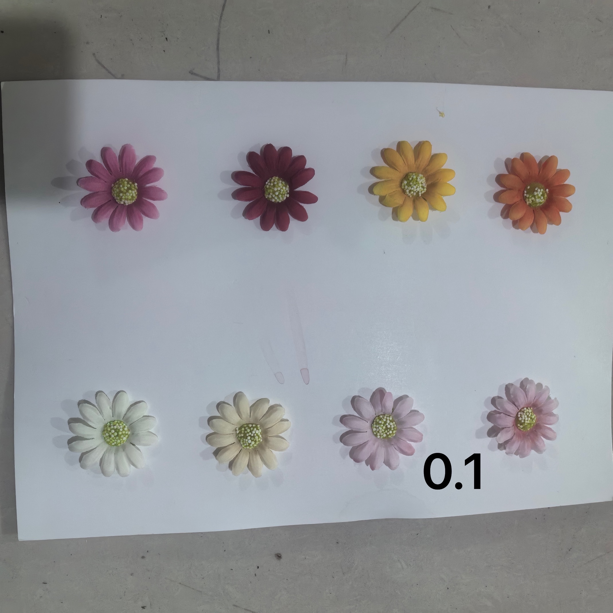 小太阳花