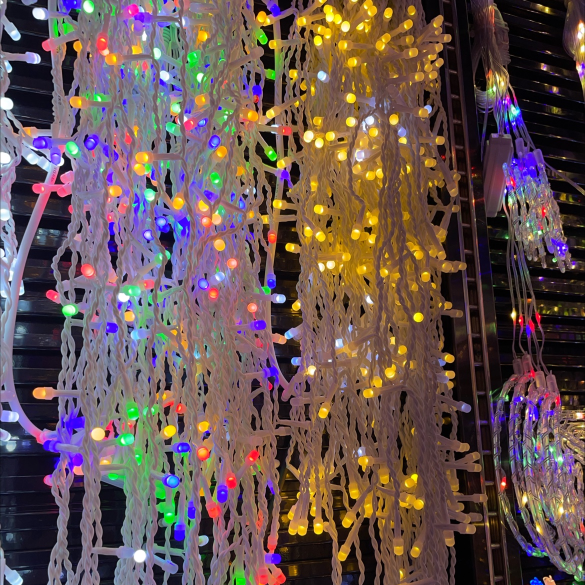 圣诞灯圆球/led/圣诞灯串灯/圣诞灯串/户外昆虫灯细节图