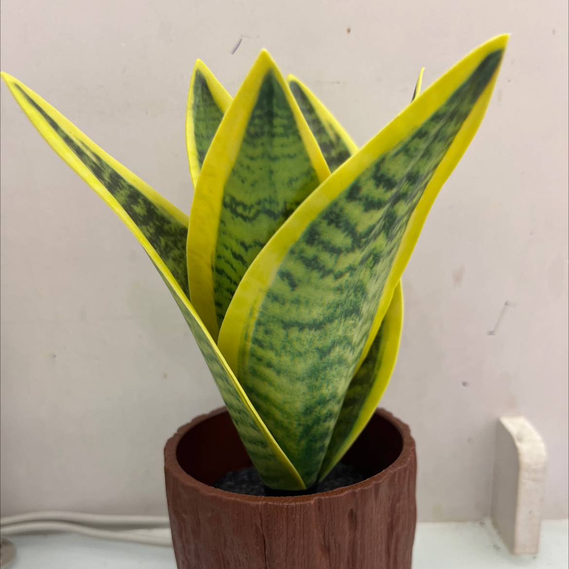 仿真花假花坊真木棍珊栏玉兰花仿真仿真松塔草马蹄莲仿真花